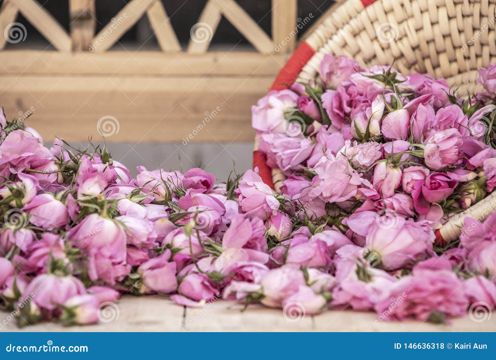 Damask Roses Falling Out of a Basket Stock Photo Image of iranian