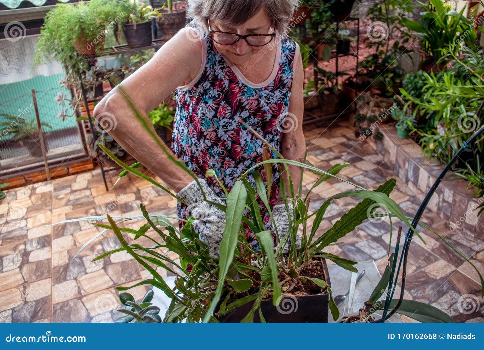 Jardinier Féminin Heureux De Jardinage De Femme Qui Prennent Soin