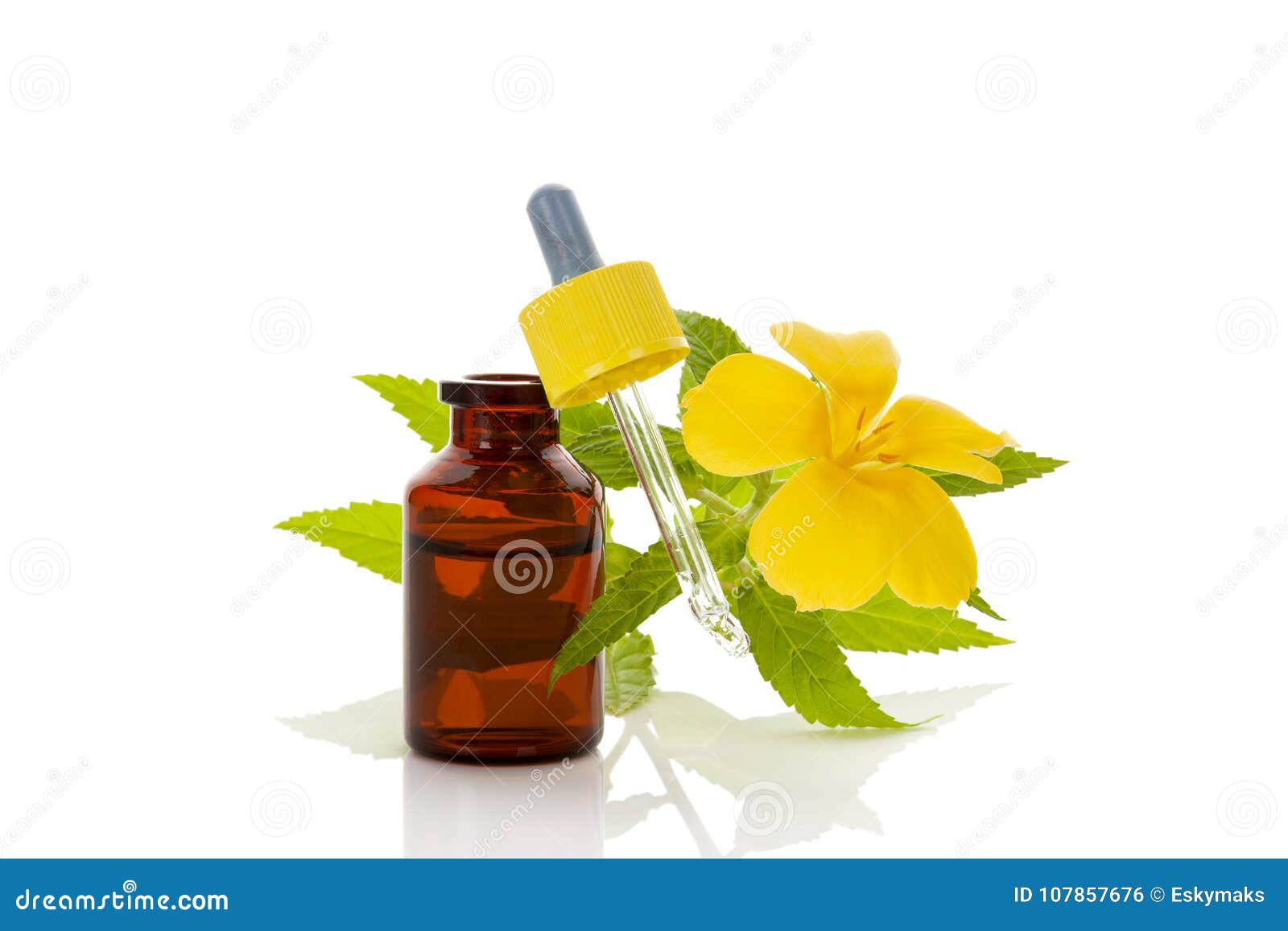 damiana herb extract