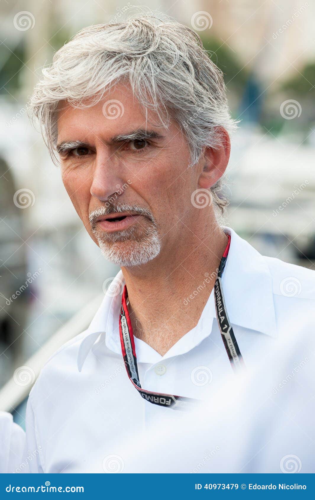 Damon Hill, Meister der Weltf1 Redaktionelles Stockbild