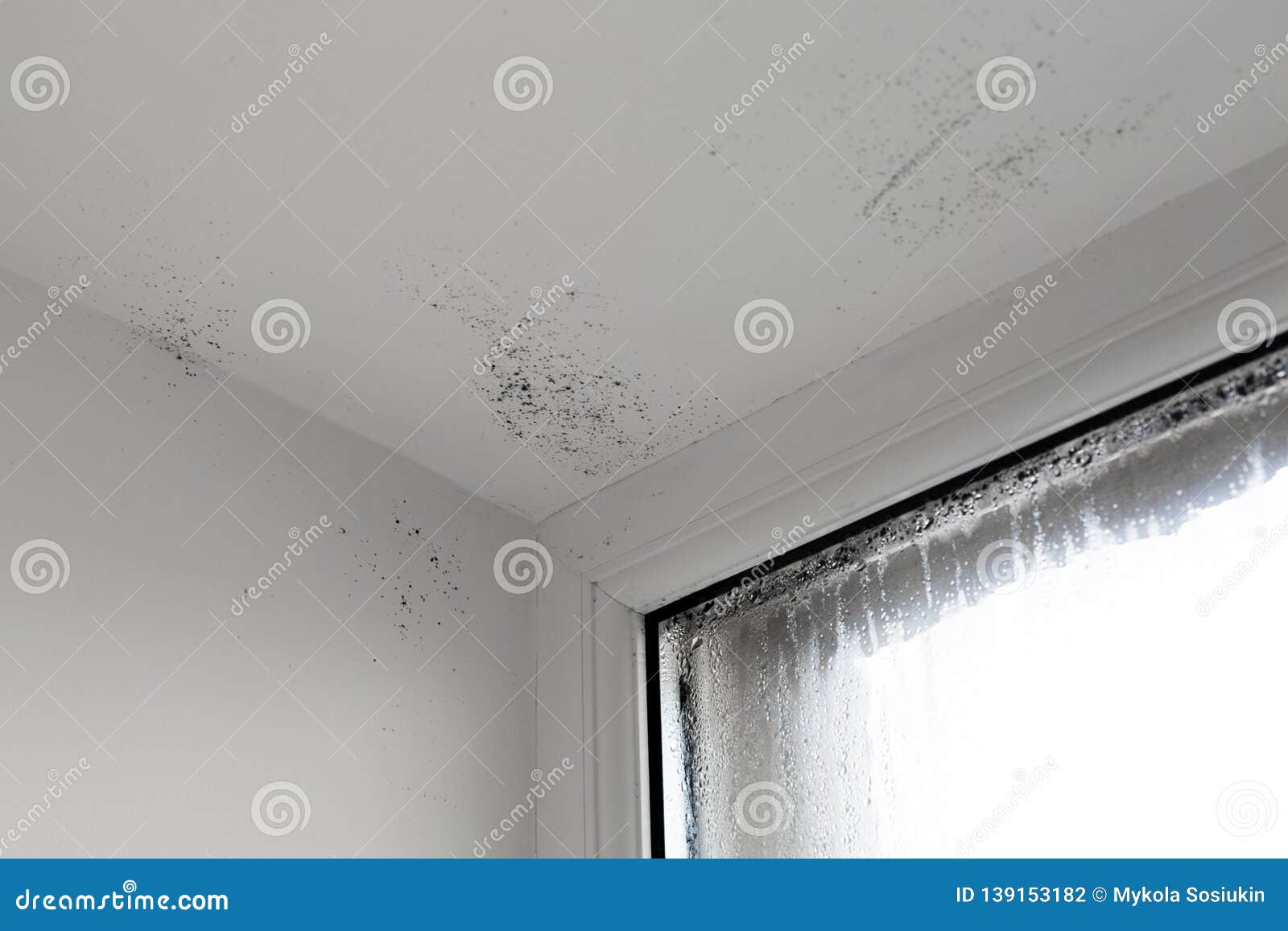 the damp is attacking the wall. mold on window. house window with damp and condensation