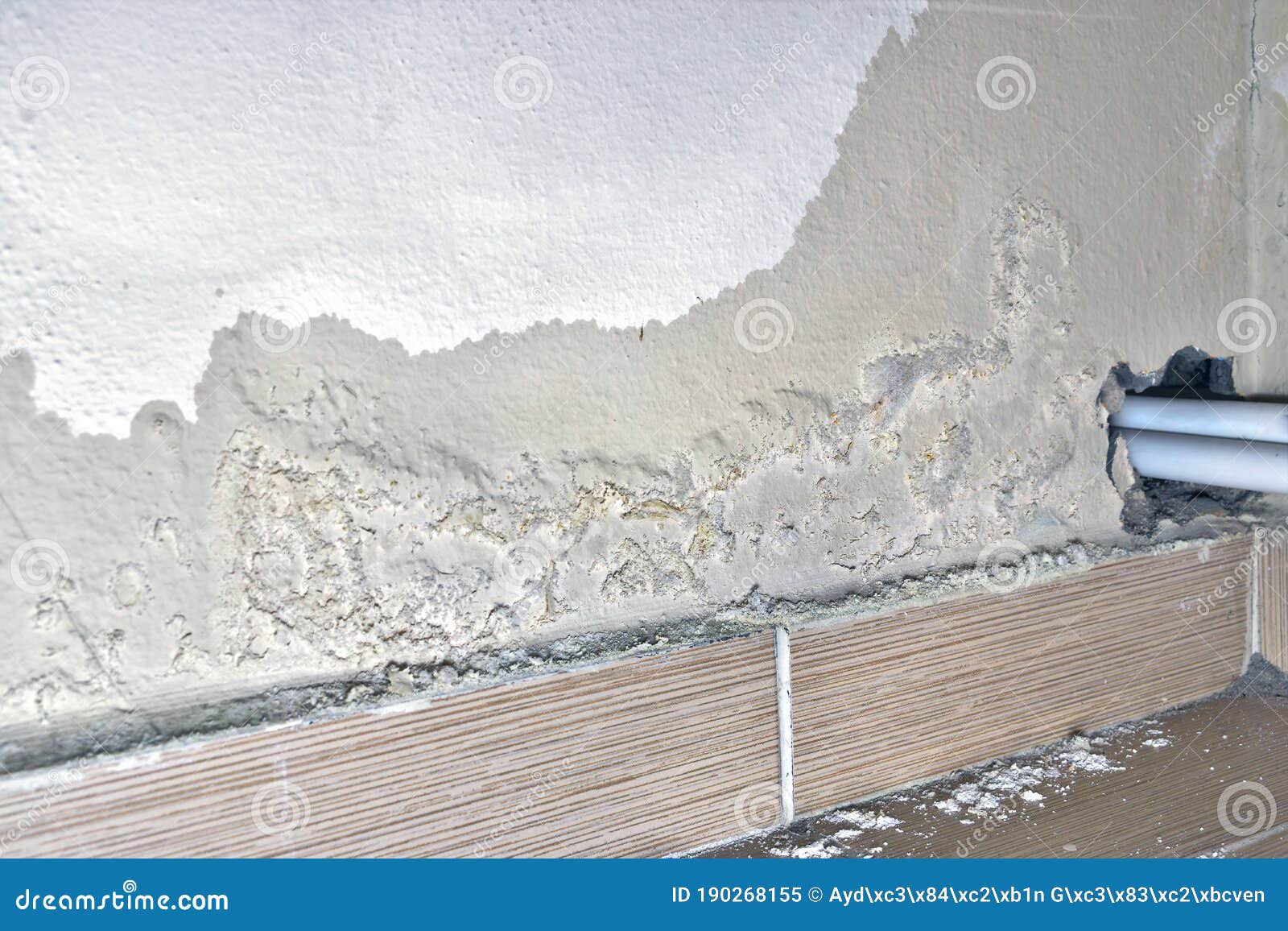 Peeling Paint, Indicating Damp on the Bathroom Wall. Water Leaks Stock