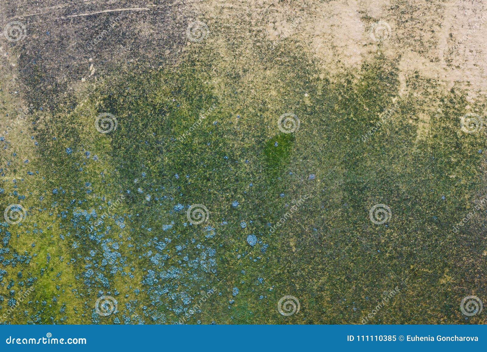 Damp Moldy Texture Old Concrete Wall Stock Image - Image of concrete