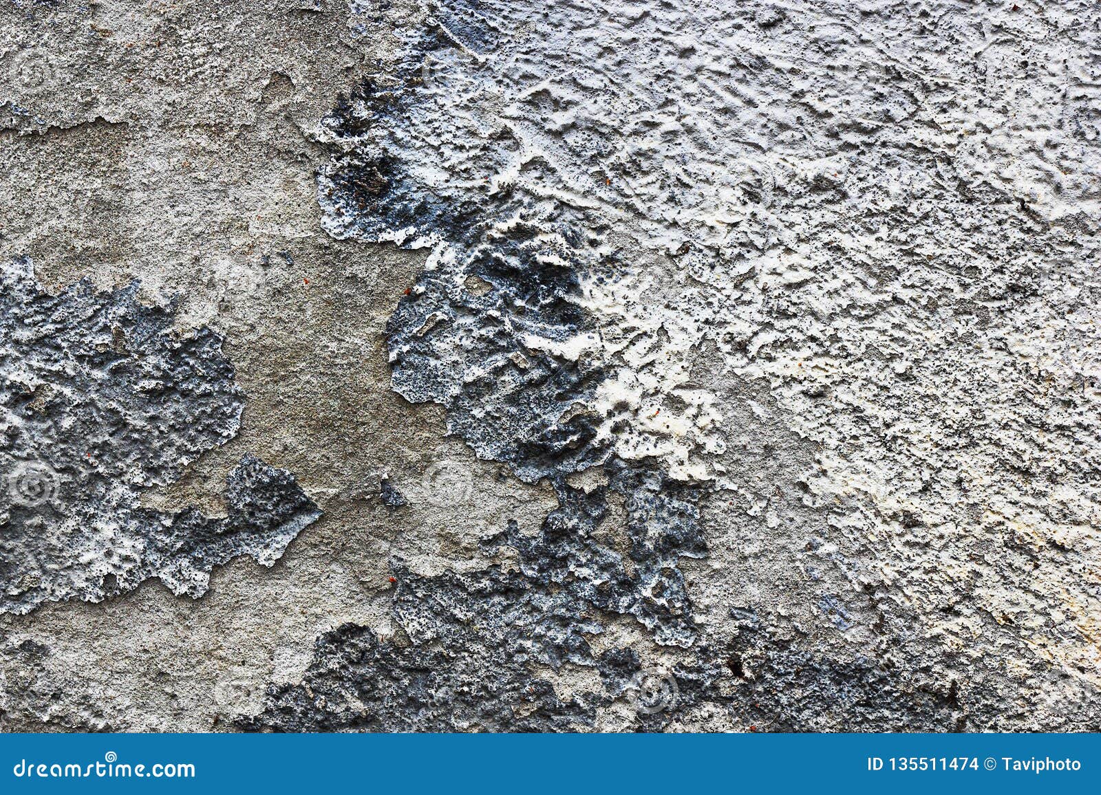 Damp Wall, Effects of Moisture on Plaster Layer Stock Photo Image of