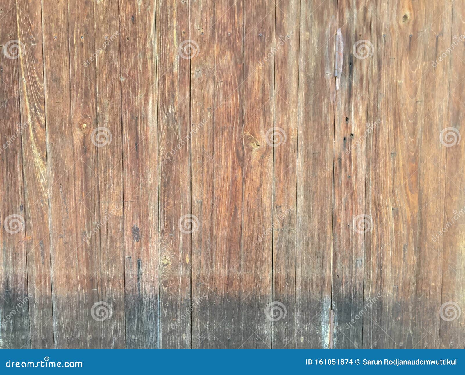 Damp Wood Texture. Wooden Texture Background for Design and Building