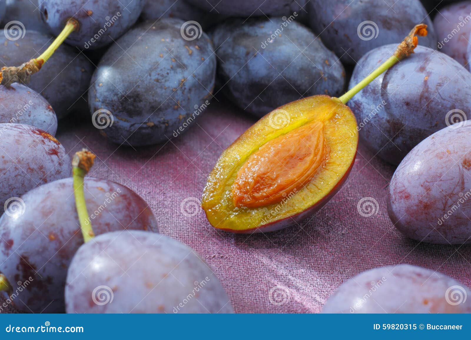 damson plum (damascene) fruits