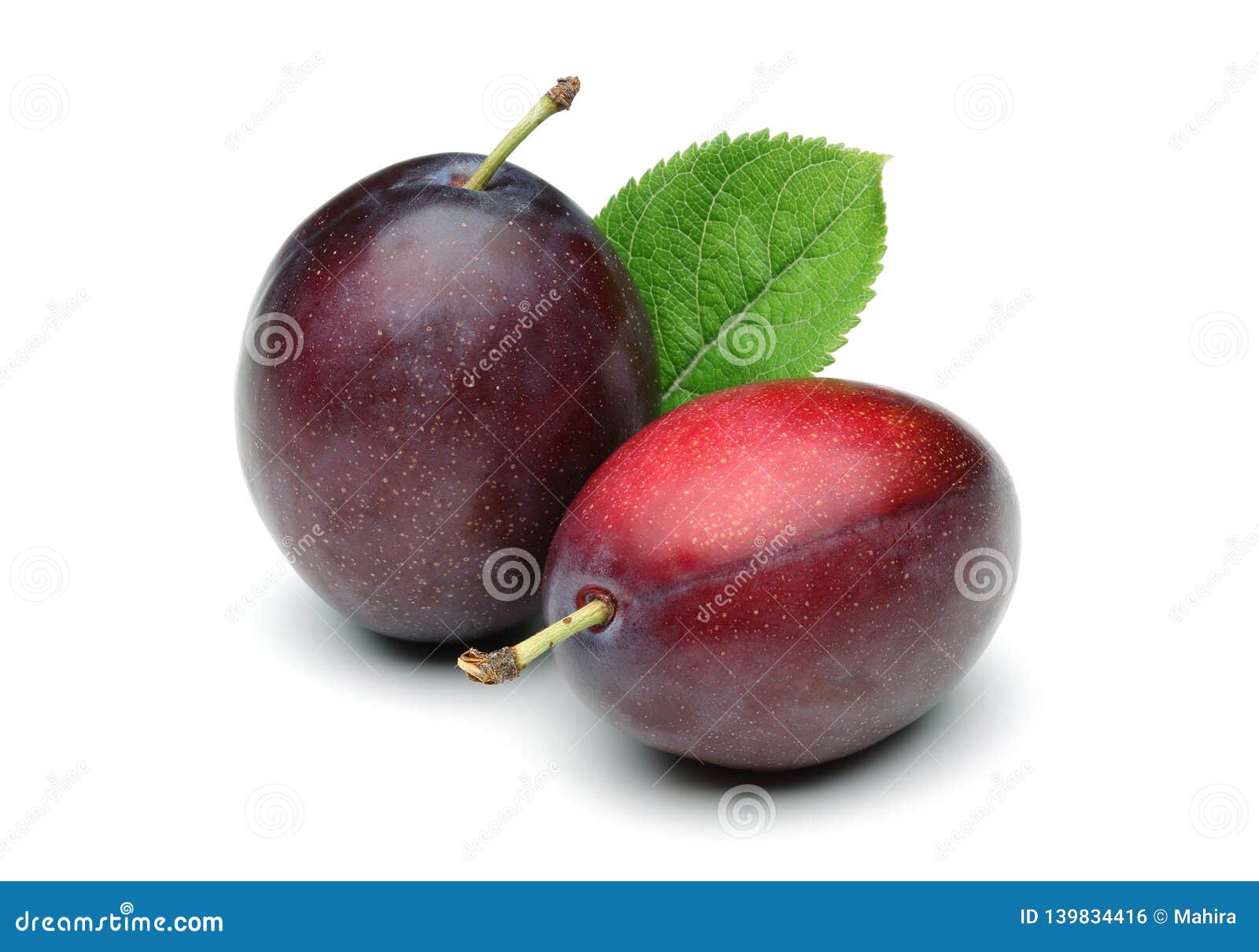 Damson Plums with Leaf Isolated on White Stock Photo Image of organic