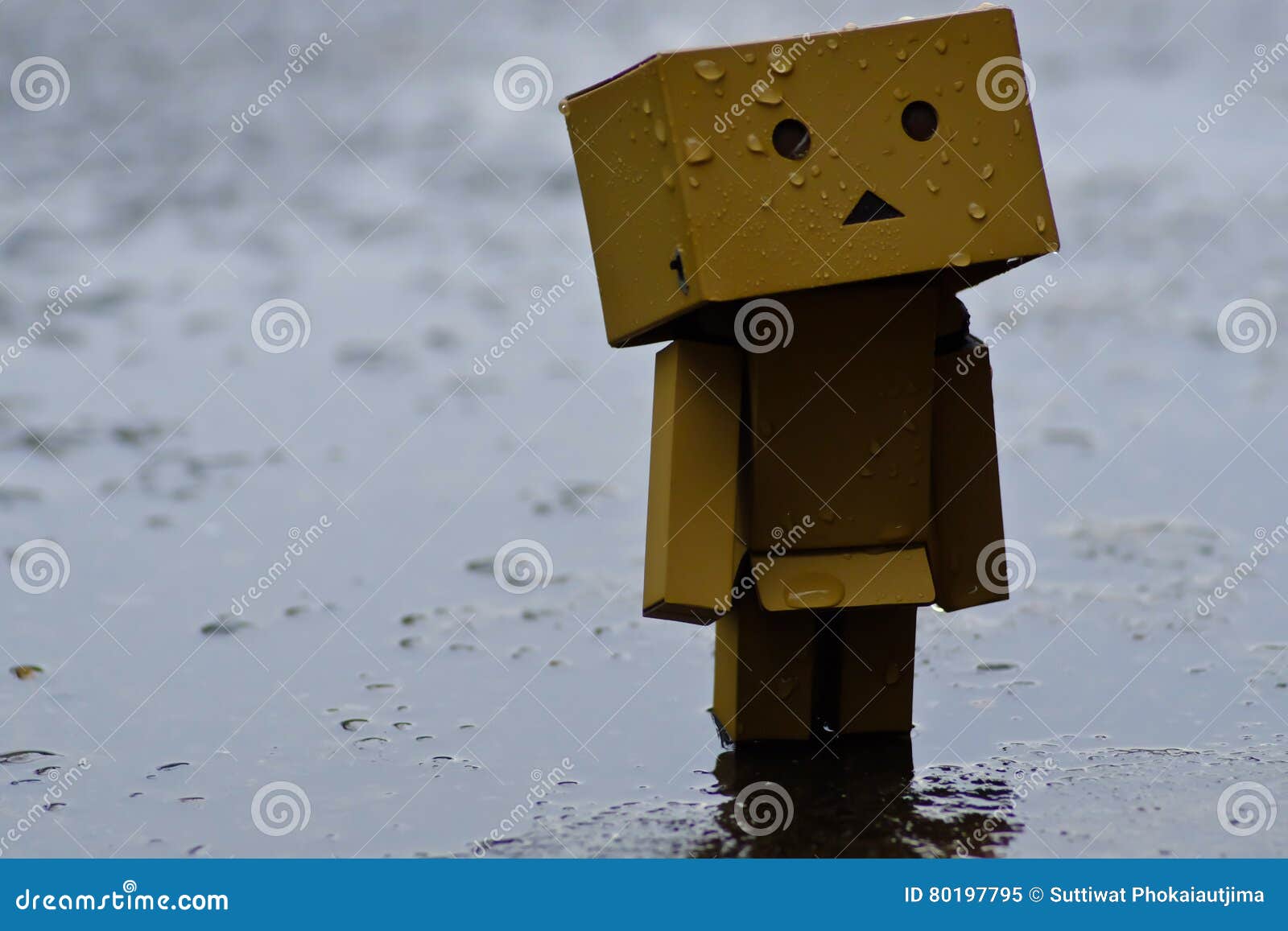 Danboard or Danbo Figure in the Rain Editorial Image - Image of