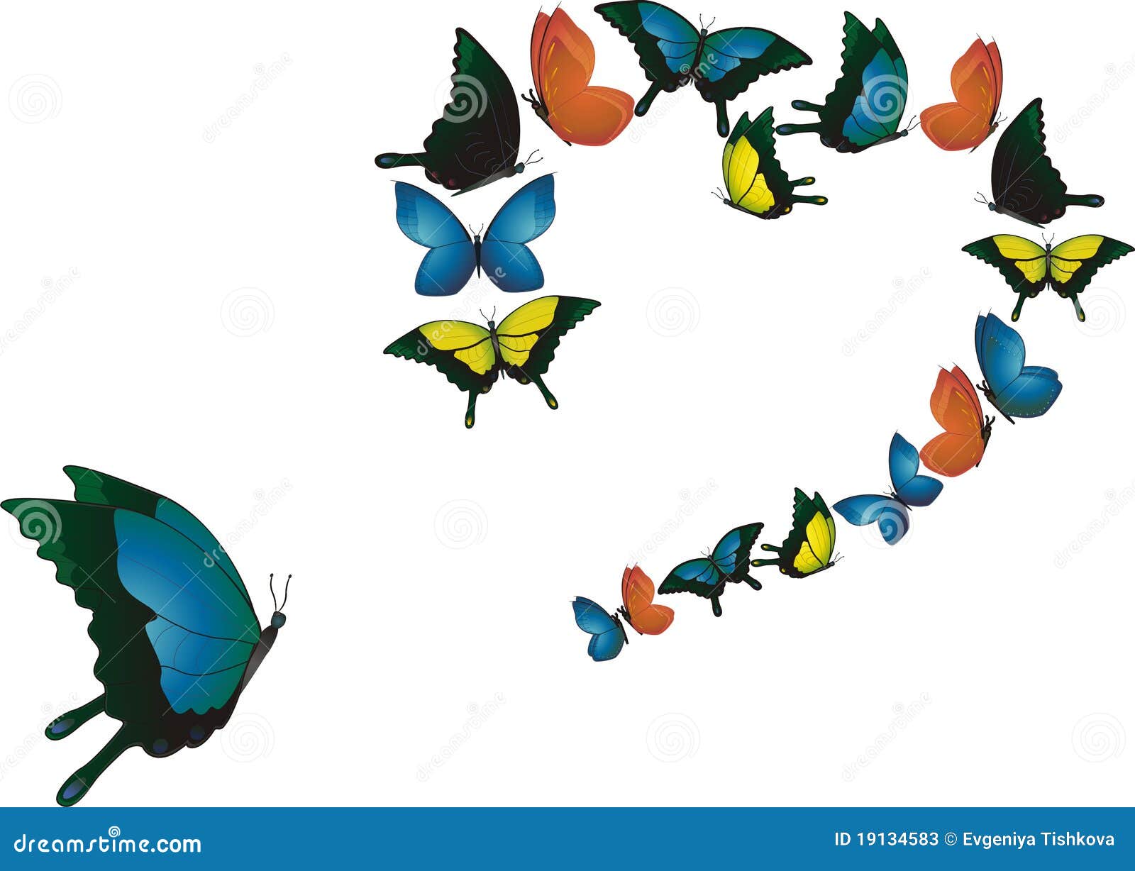 Dancing Butterfly Stock Photos Image 19134583
