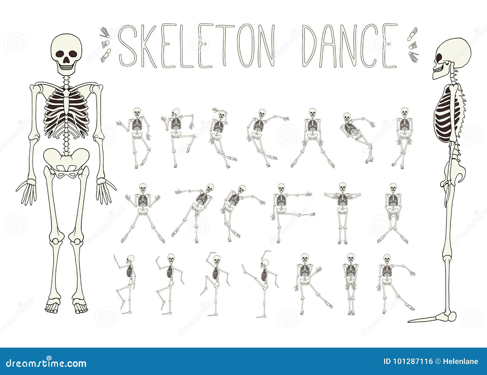 Skeleton Stock – 68 Ballet Skeleton Stock Illustrations, Vectors & Clipart - Dreamstime