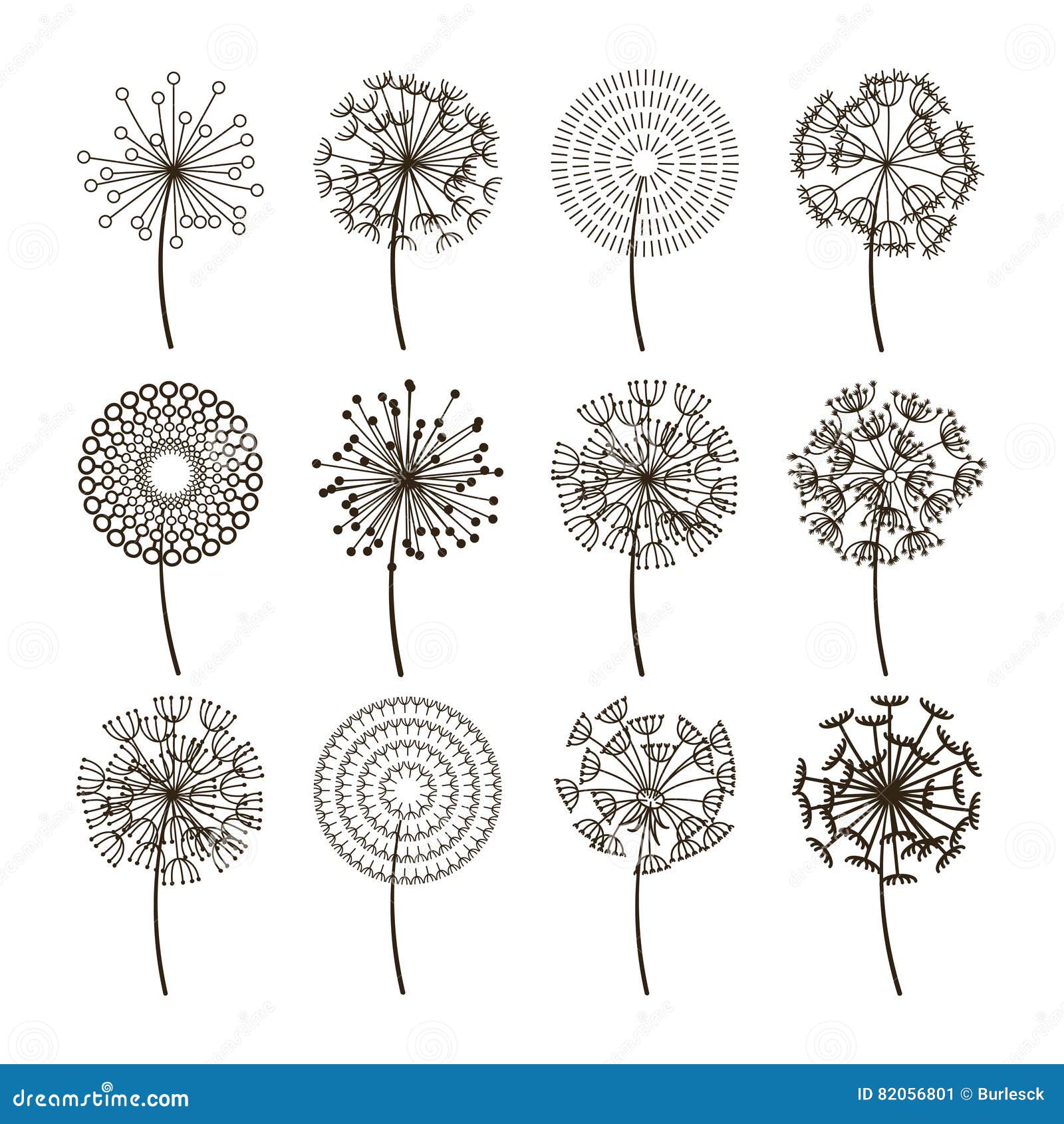 Dandelion flower icons. Dandelions fluffy seeds vector silhouettes. Natural plant blossom black illustration