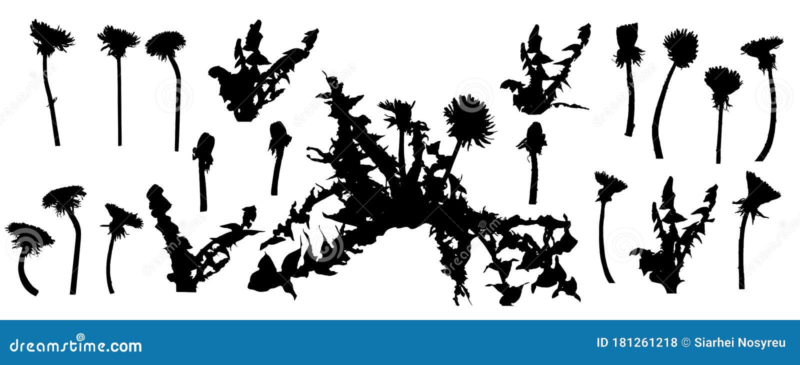 Dandelion Flower, Set of Silhouettes. Vector Illustration Stock Vector ...