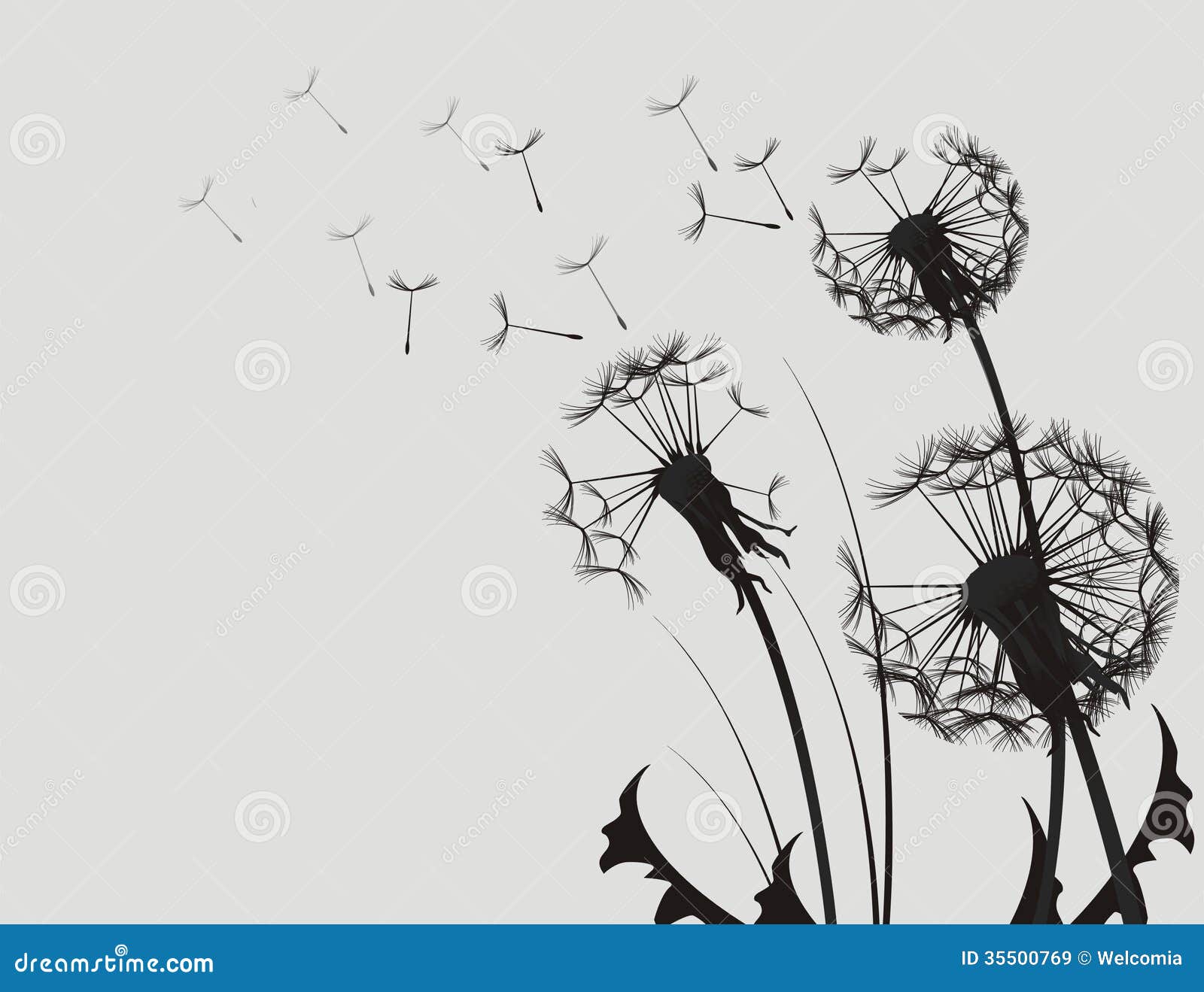Dandelion Silhouette Royalty Free Stock Images - Image: 35500769