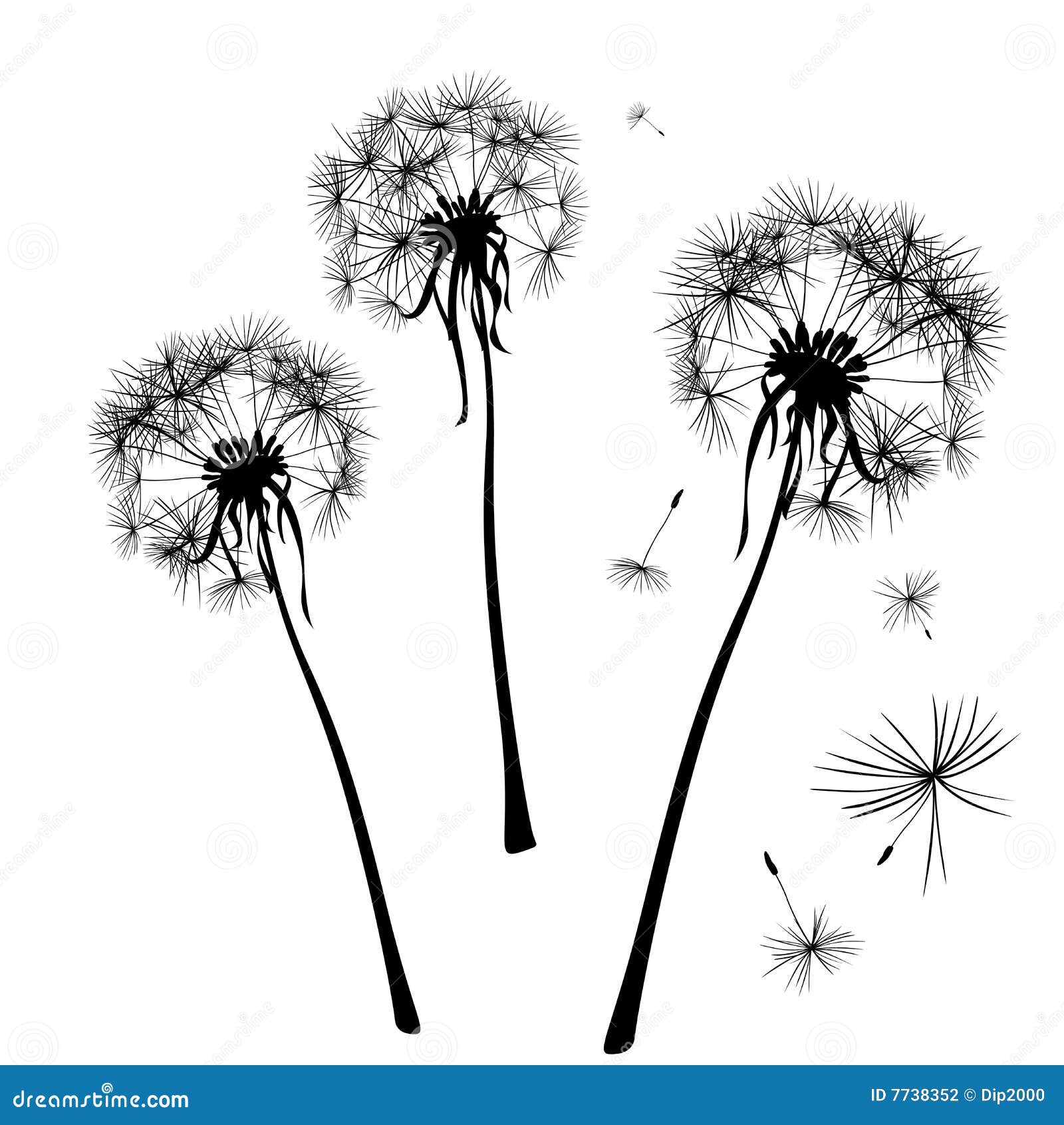 Dandelions stock vector. Illustration of nature, head - 7738352