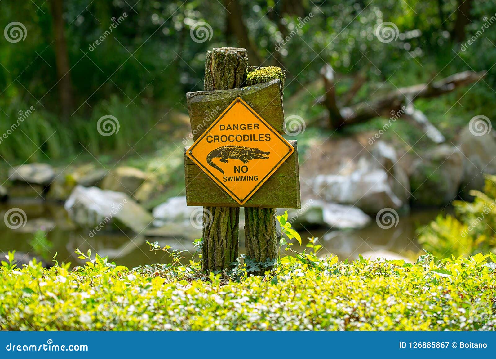 danger crocodiles, no swimming - warning sign located on the shore of the lake.