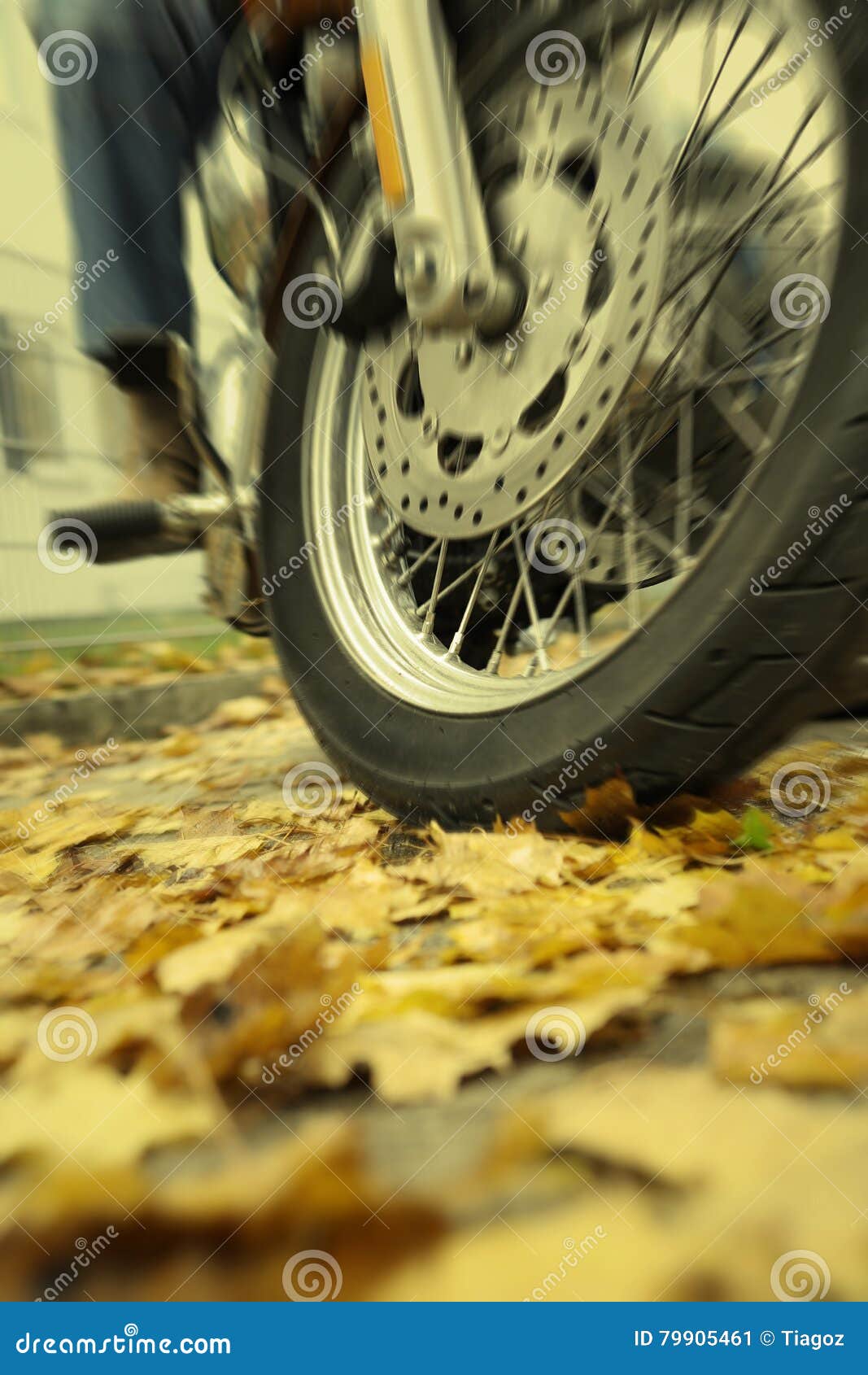 The Danger of Riding a Motorcycle on Wet Leaves during Autumn Stock