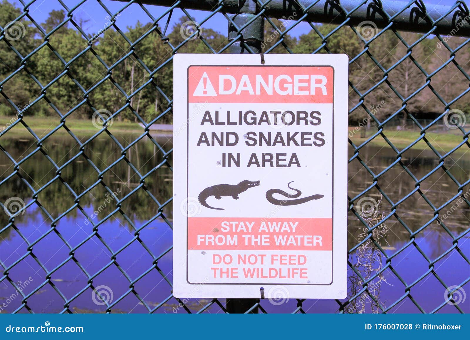 danger sign alligators and snakes posted by a lake at a park in florida