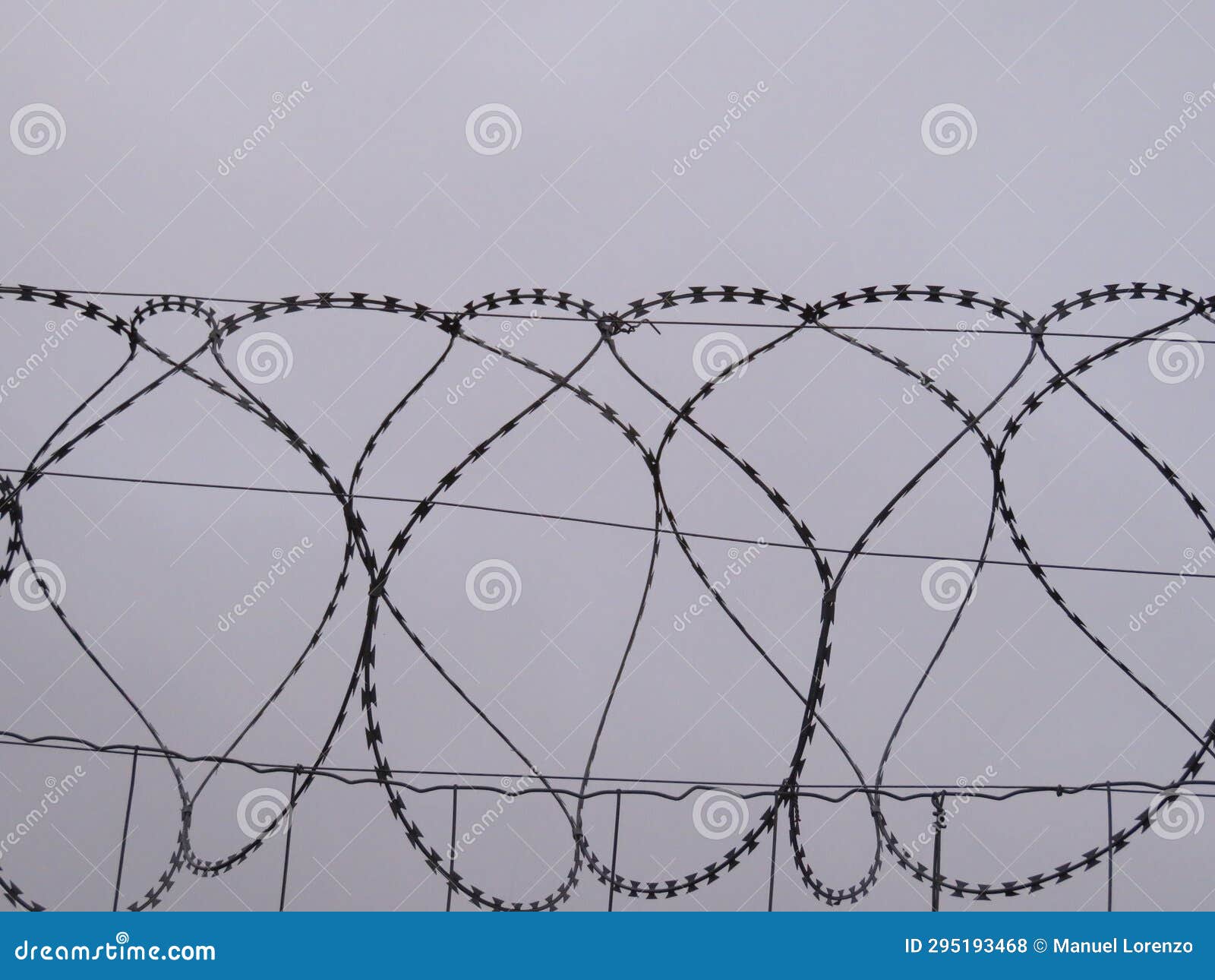 dangerous barbed wire protection security reserve cut