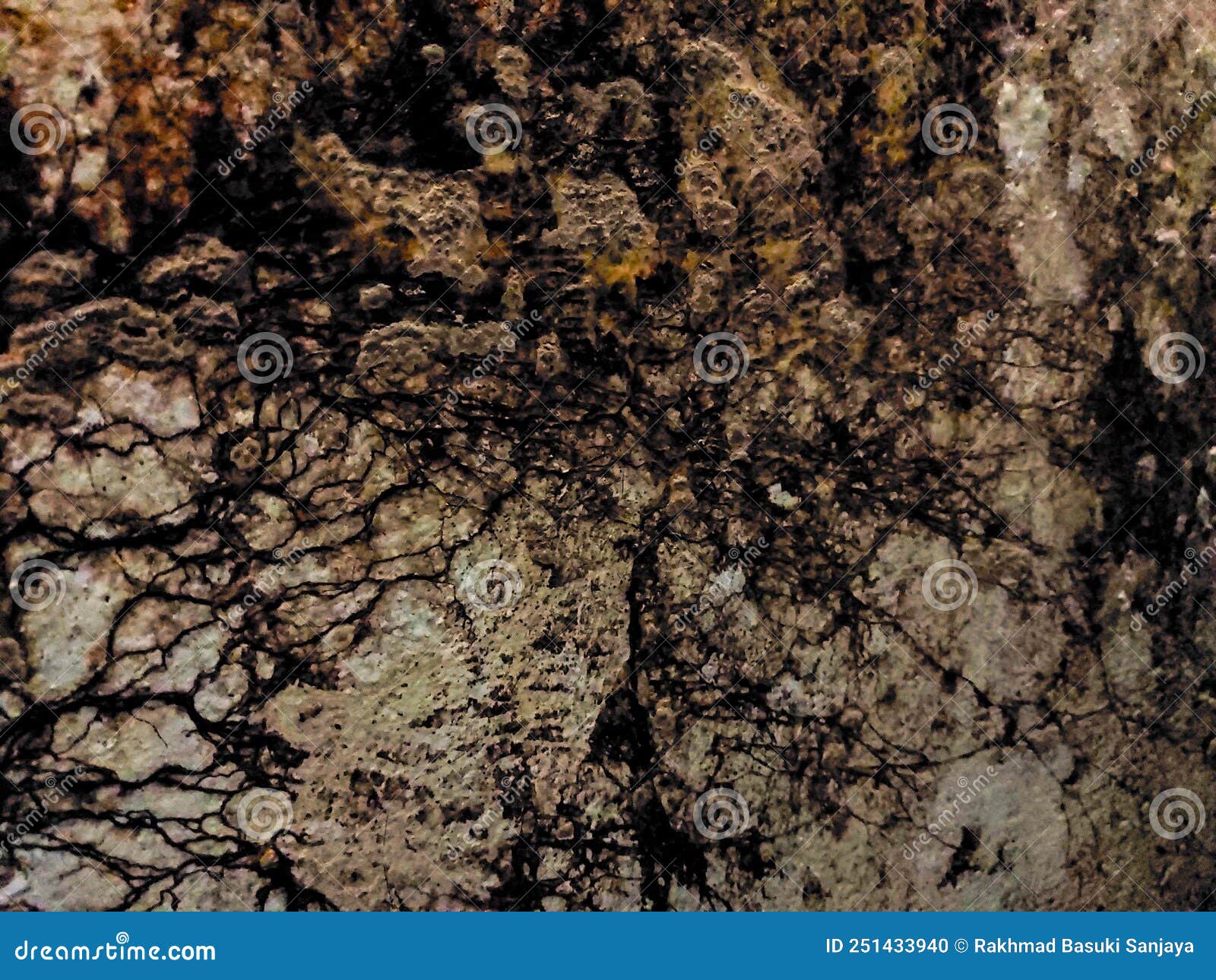 Dangerous Fungus Wall in House Stock Photo - Image of asphalt, nature ...