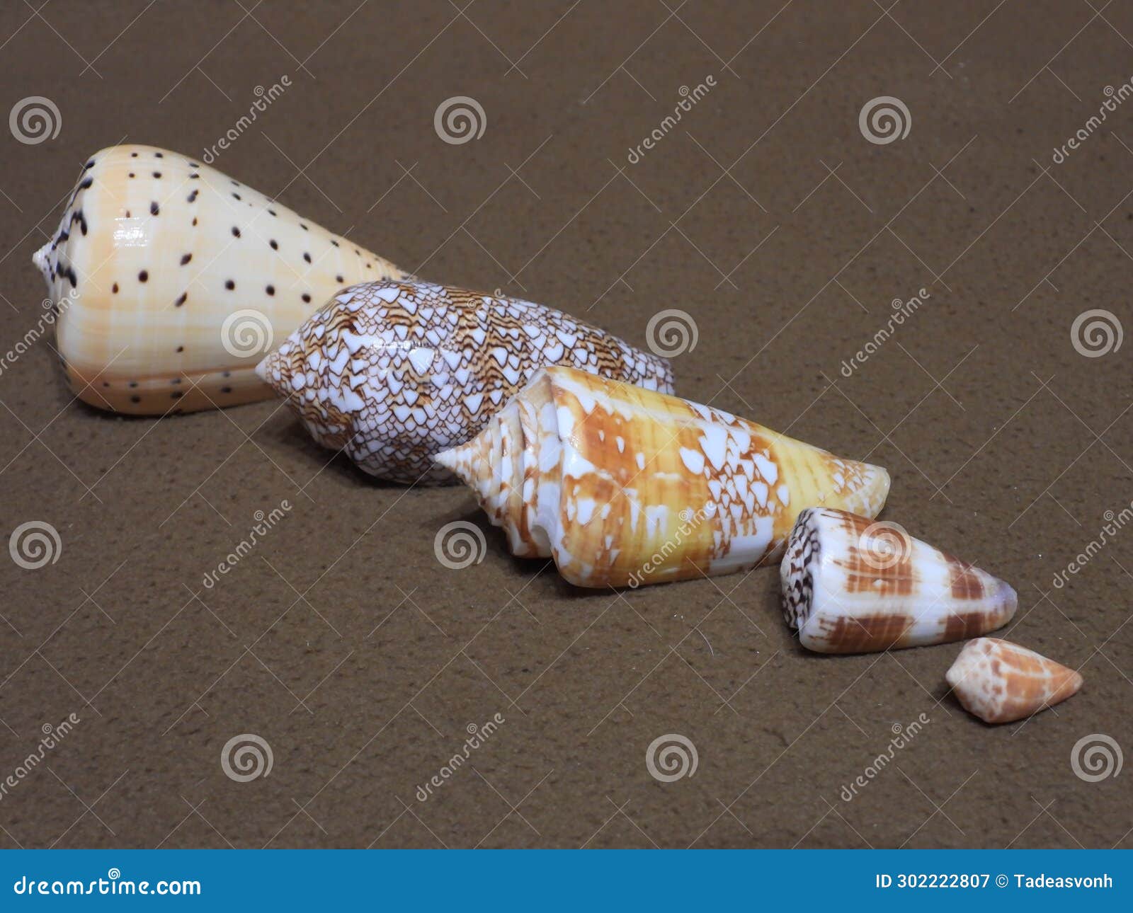dangerous inhabitants of seas and oceans