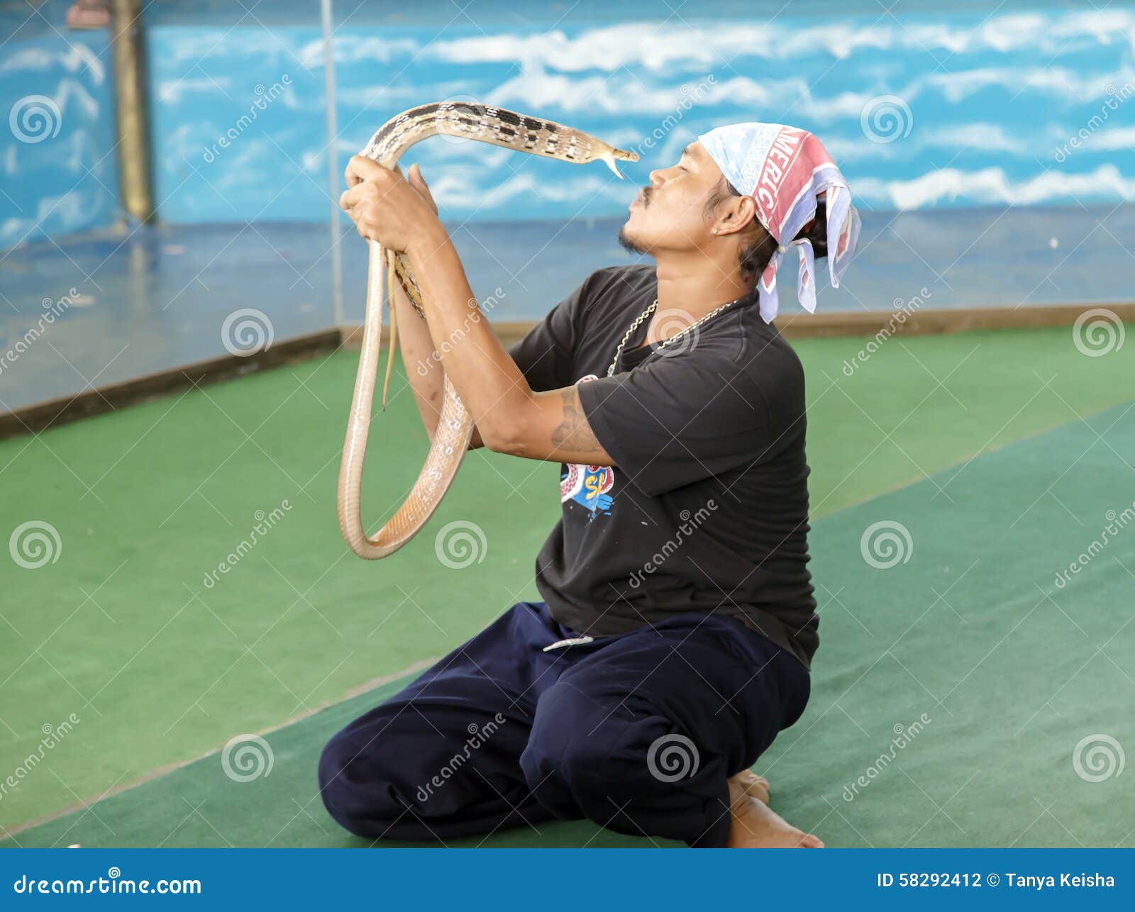 Dangerous kiss of snakes. THAILAND, BANGKOK, MARCH, 26, 2015 - Charmer of snake on attraction in Million Years Stone Park &amp; Pattaya Crocodile Farm in Pattaya, Thailand