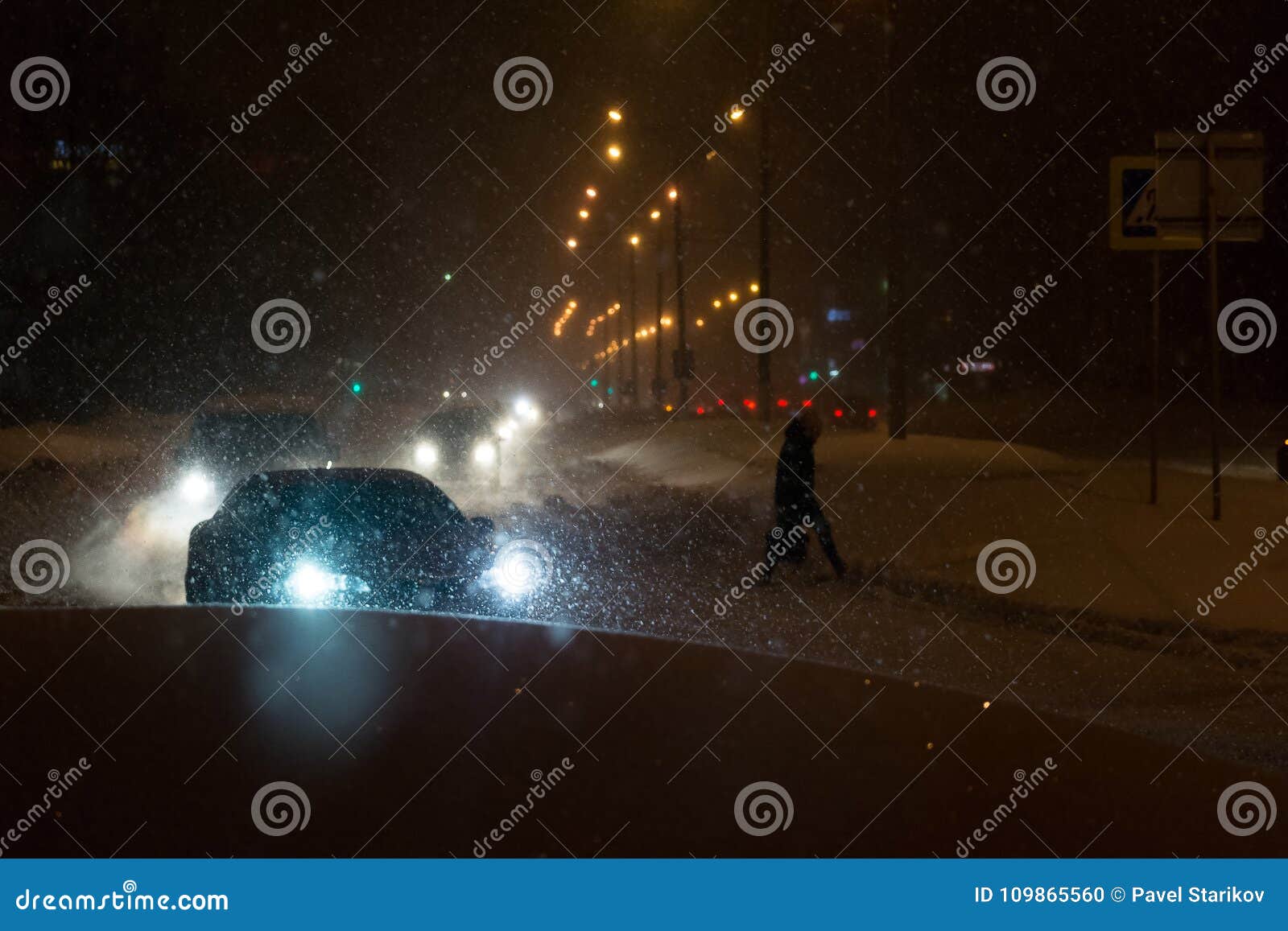 Dangerous Situation on Zebra Stock Photo - Image of panning, evening
