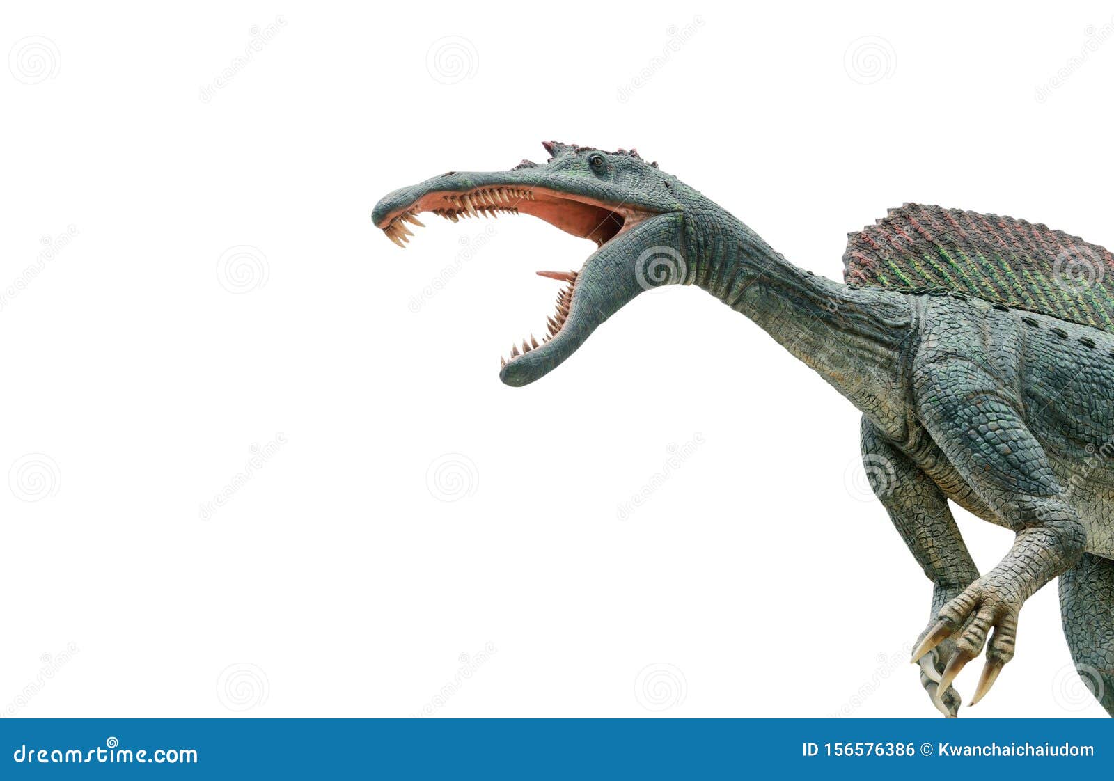 Dangerous Spinosaurus Isolated on White Stock Photo - Image of dinosaur