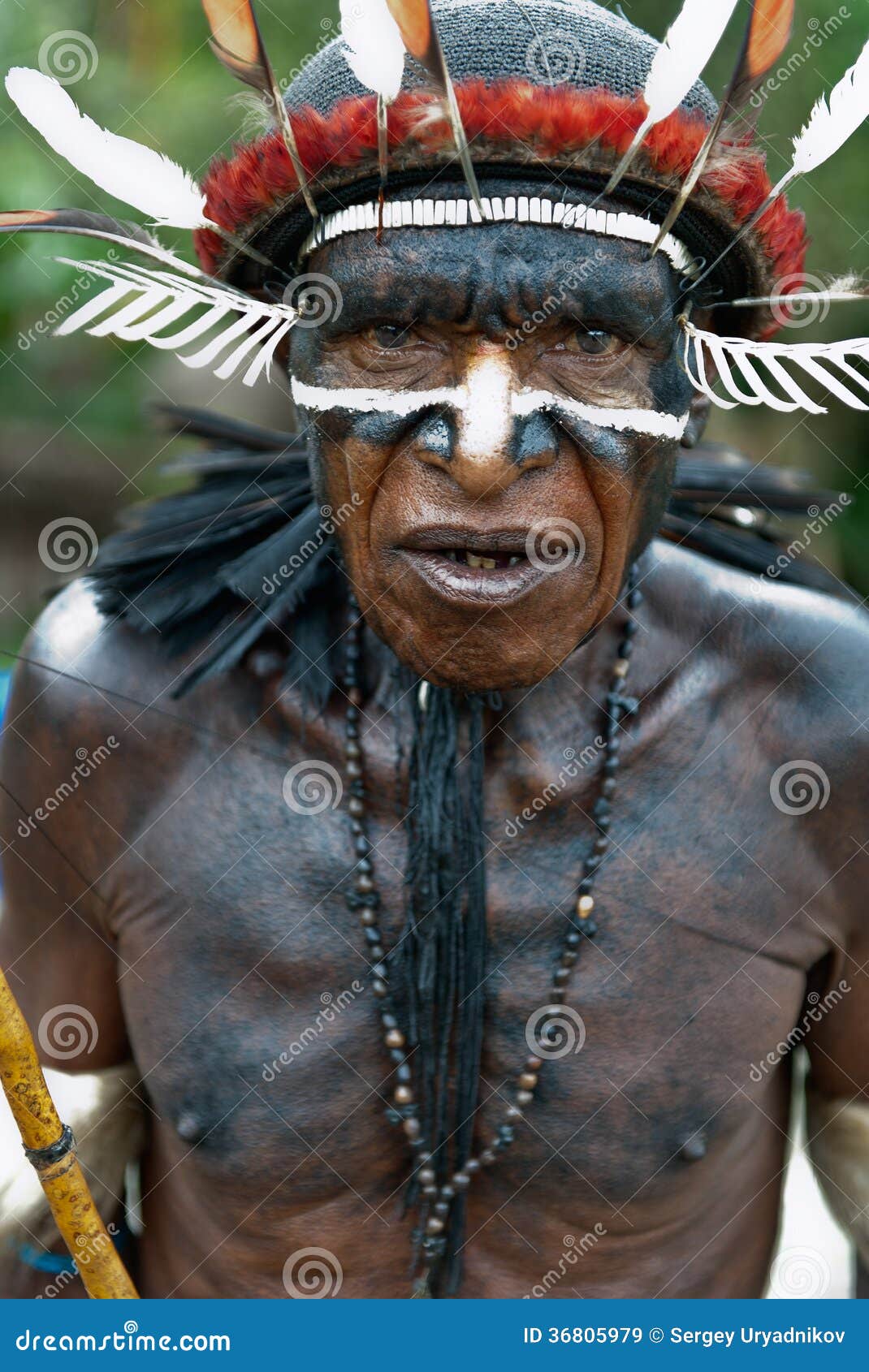 https://thumbs.dreamstime.com/z/dani-warrior-portrait-dugum-village-irian-jaya-new-guinea-indonesia-june-dugum-june-baliem-valley-papua-irian-jaya-36805979.jpg