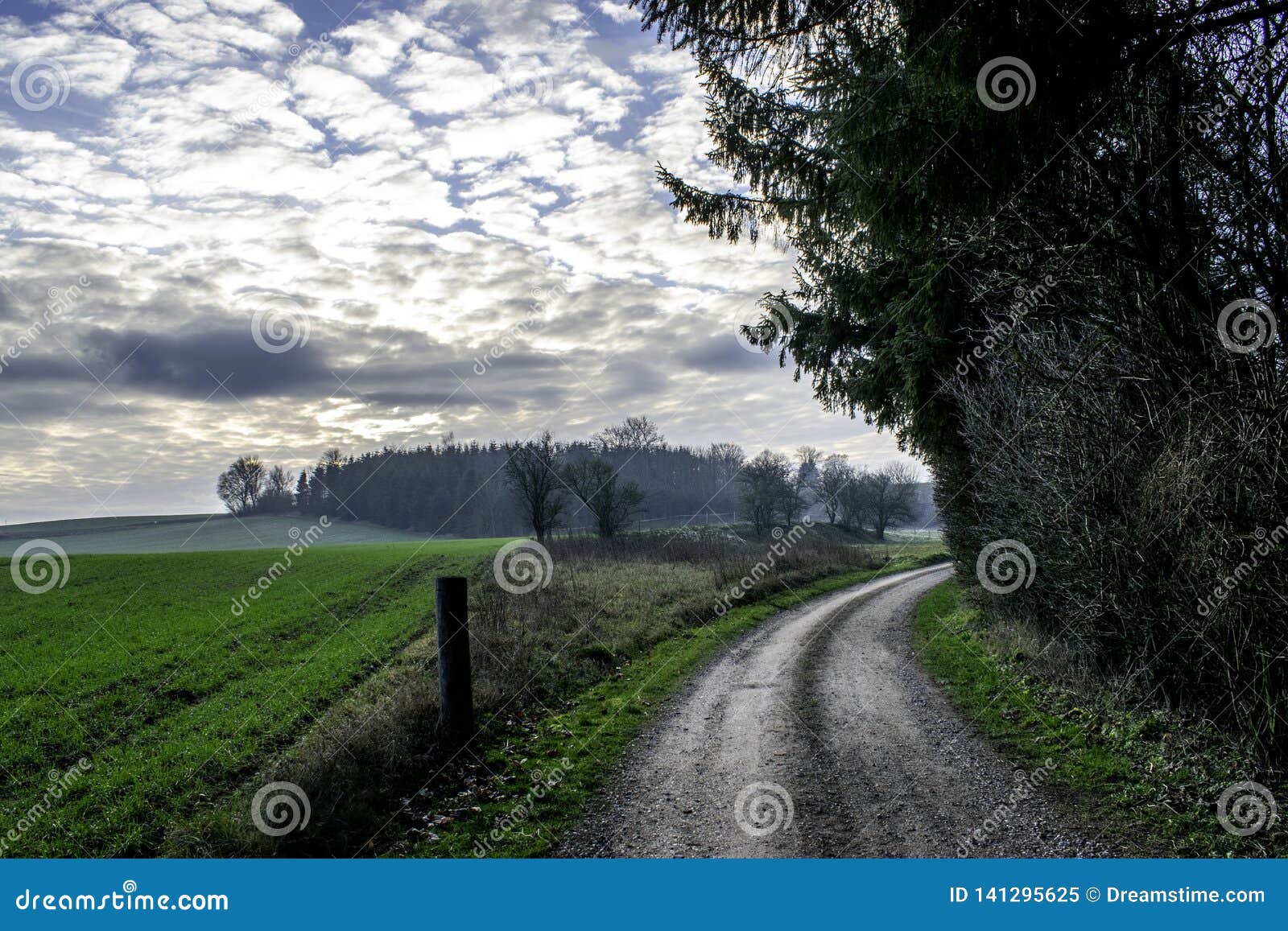 Danish Countryside with Amazing Detail Image paths, grass: 141295625