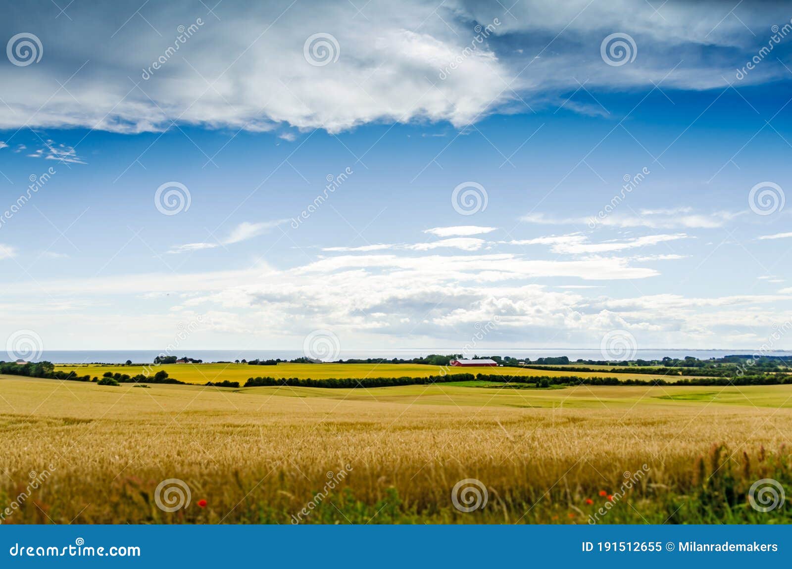 sang lidenskabelig kjole Danish Landscape with Farm Fields and the Sea in the Background during  Summer Denmark Stock Image - Image of national, park: 191512655