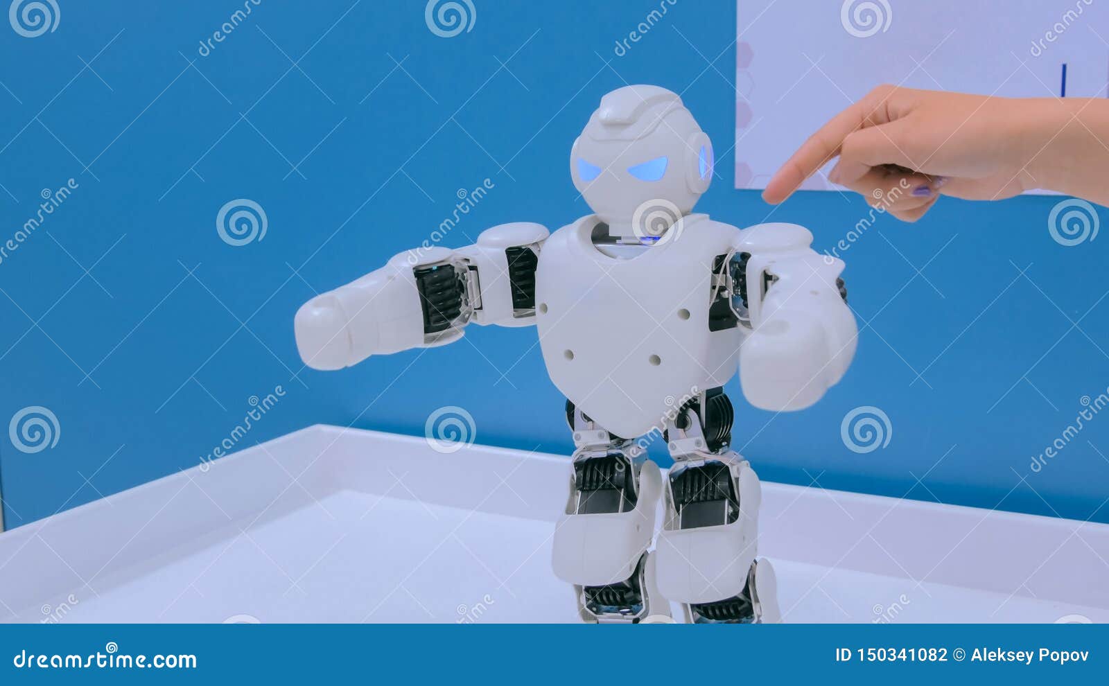 le robot humanoïde