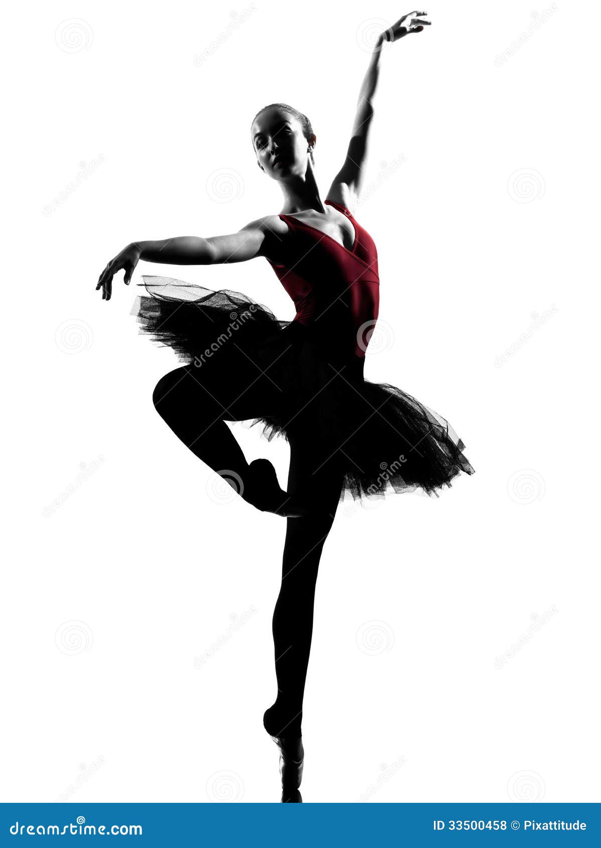 Danse De Danseur Classique De Ballerine De Jeune Femme Photo stock - Image  du caucasien, danser: 33500458