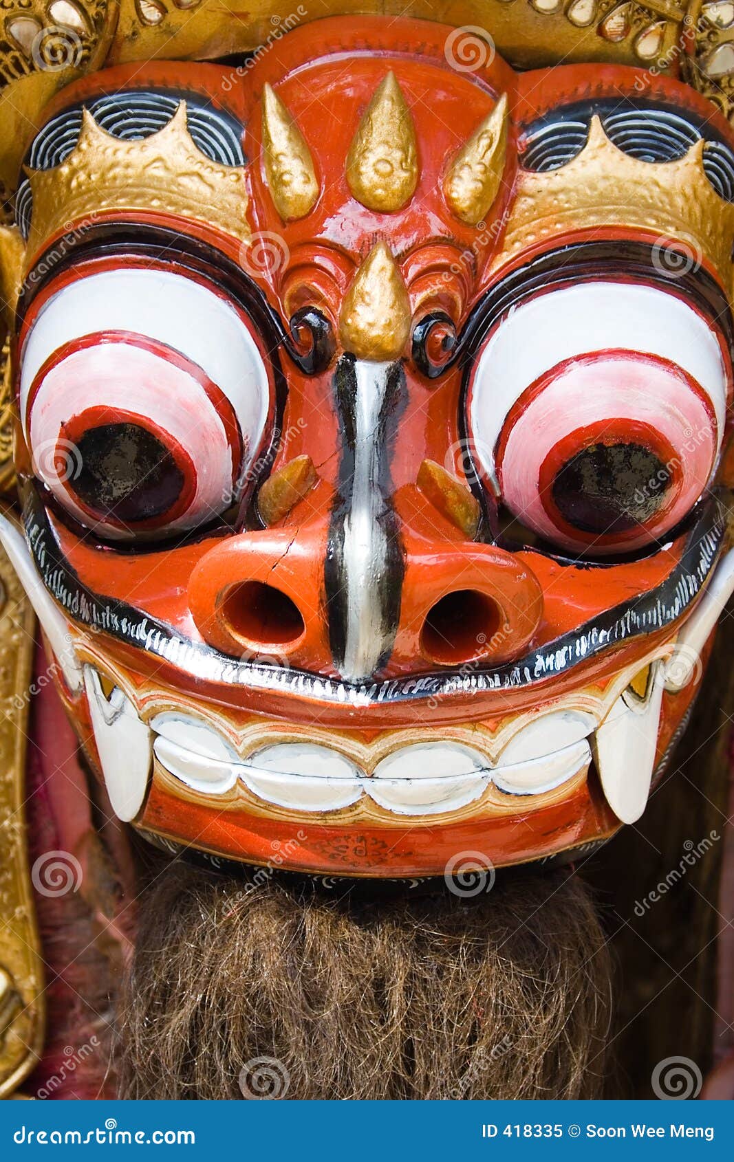 Danse traditionnelle de lion de Balinese. Un projectile de plan rapproché des caractéristiques de lion de la danse de lion de Balinese. Le lion est également connu comme Barong.