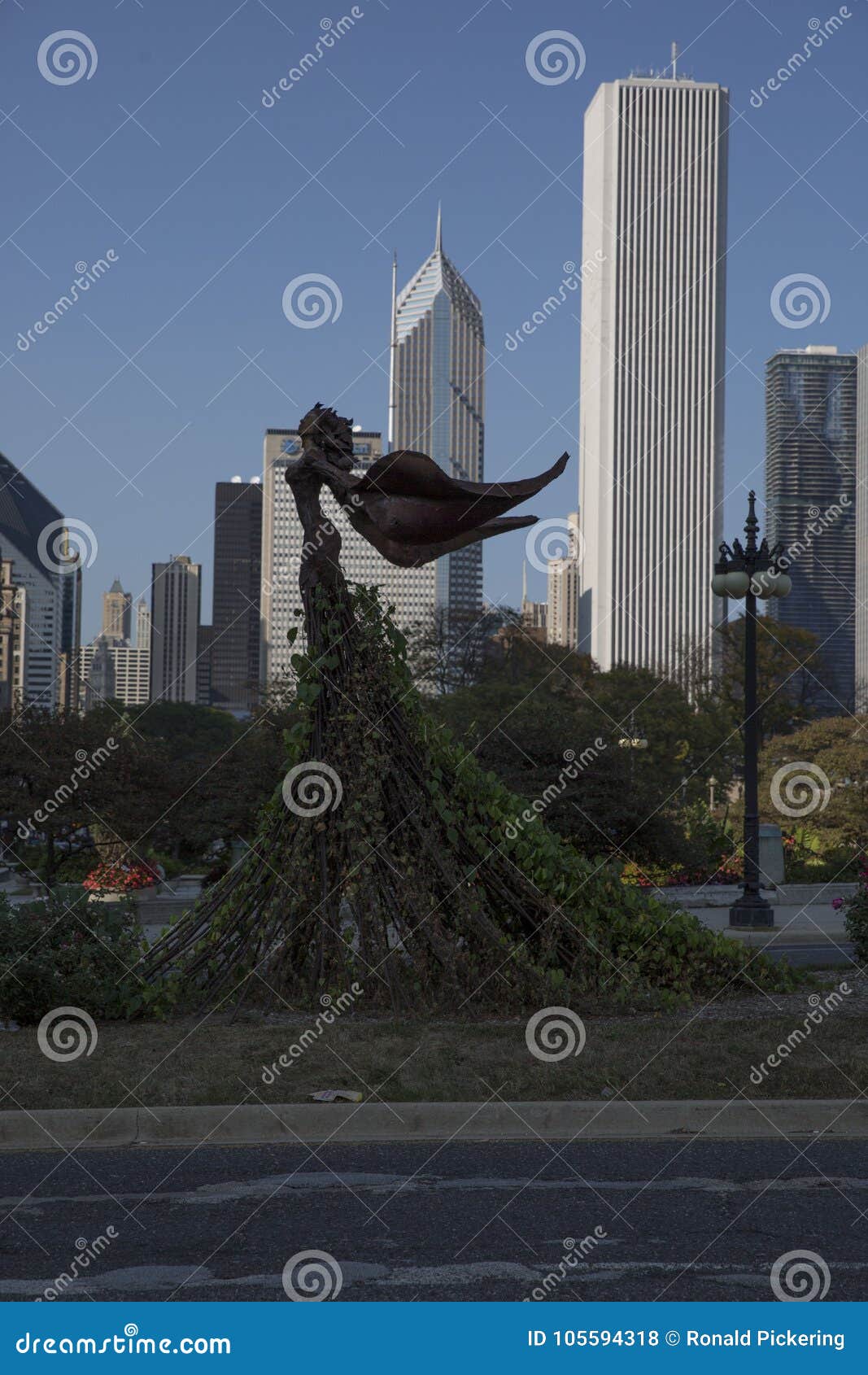 Daphne Sculpture con los edificios de Chicago admitidos el verano La escultura está en las sombras Ubicación: 
Localizado actualmente en la isla norteña en el lado oriental de la casa de campo
Escultor: Dessa Kirk
Instalado: Arte 2003 en el jardín
 
Daphne era una figura mitológica griega que fue transformada en una planta o un árbol para el ` t del wouldn capturarla