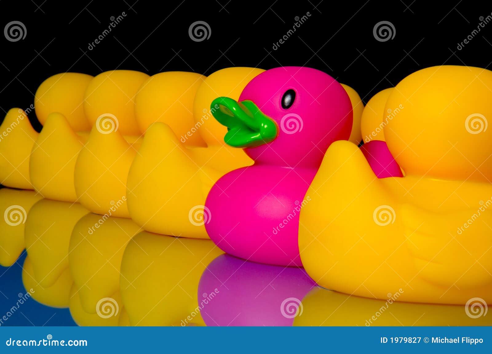 Duck! by Kim Dare Duck! by Kim Dare