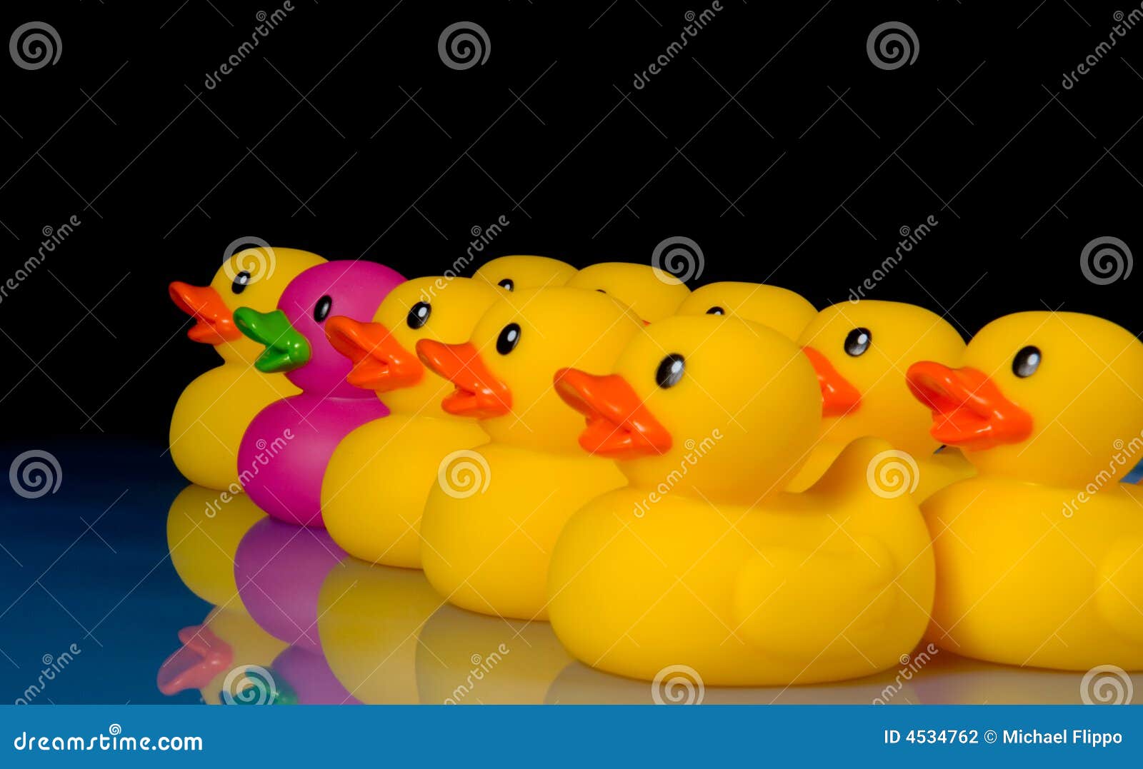 Duck! by Kim Dare Duck! by Kim Dare