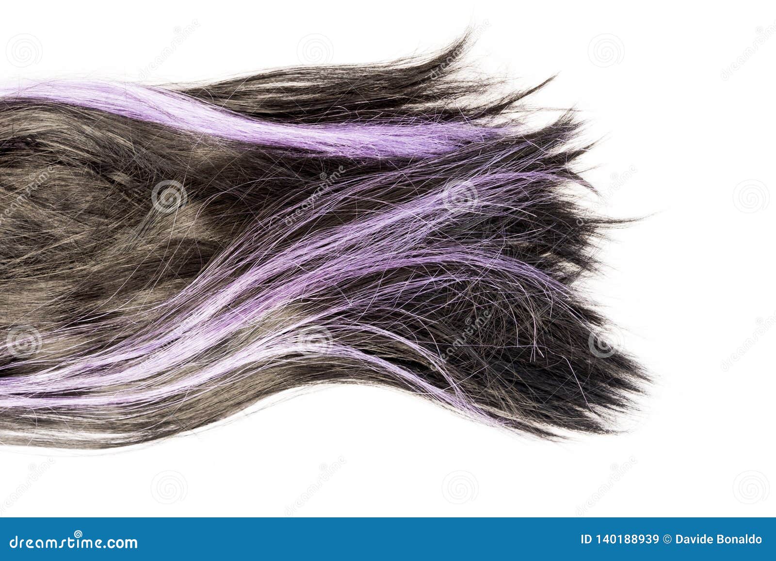 Dark Black And Purple Hair On White Background Stock Image Image