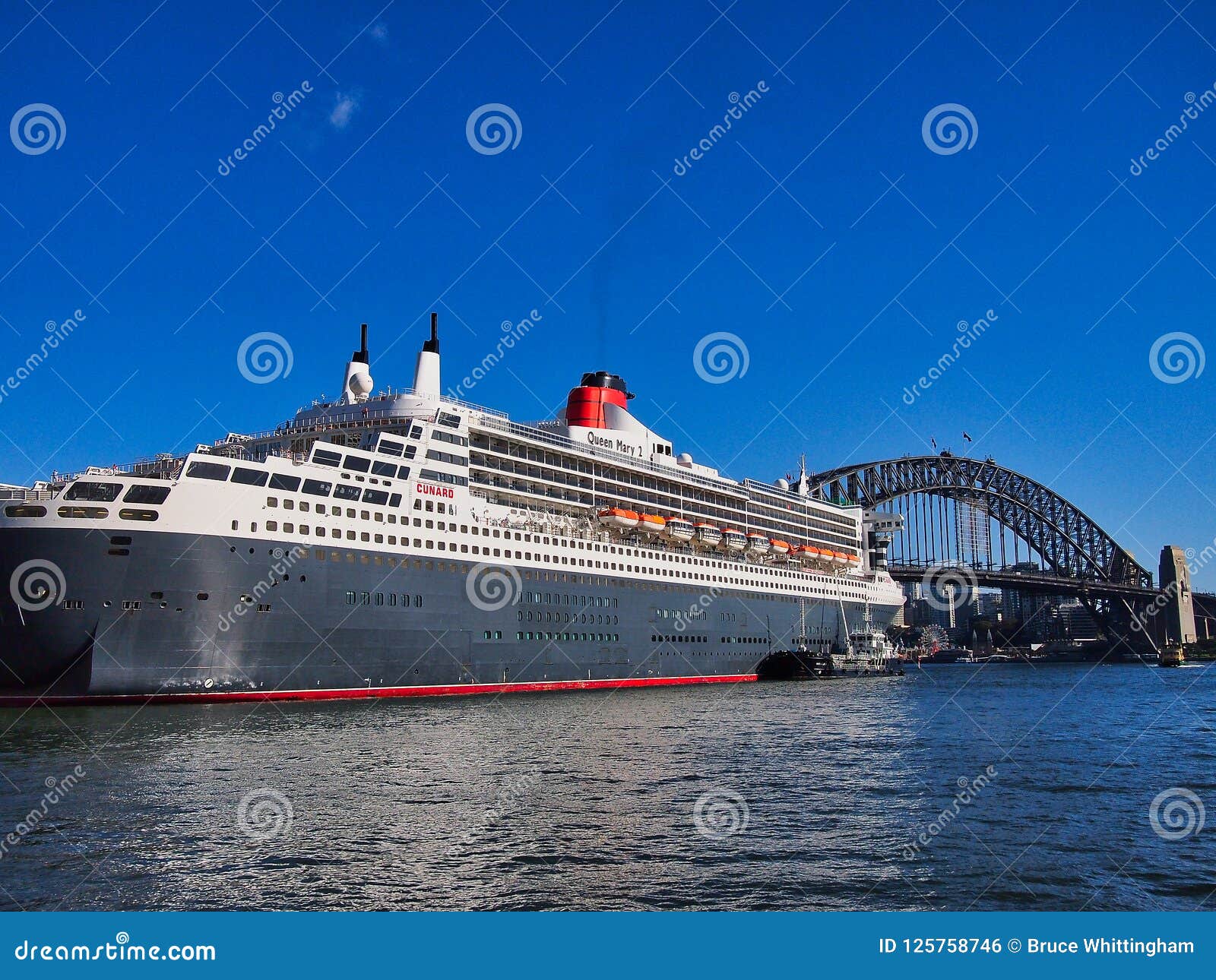 dark blue cruise ship