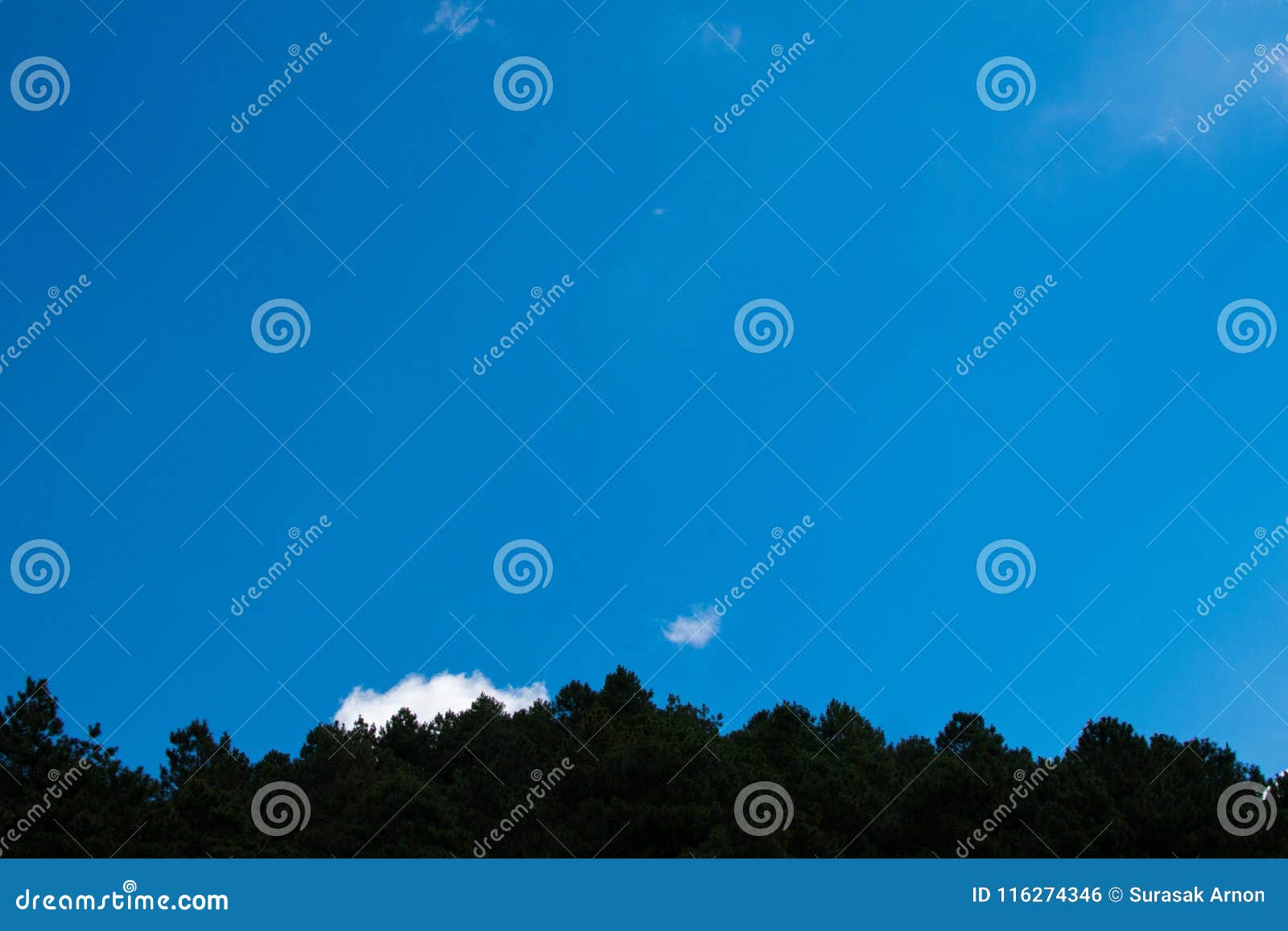 The Dark Blue Sky Has No Clouds Stock Photo Image Of Background