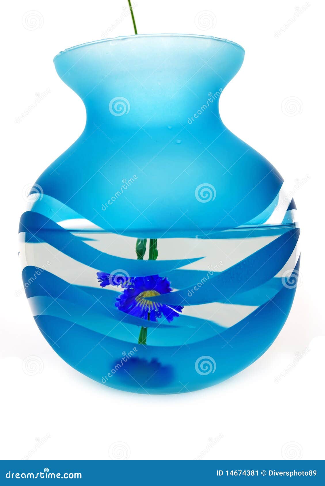 Dark blue vase with water. stock image. Image of pink 14674381
