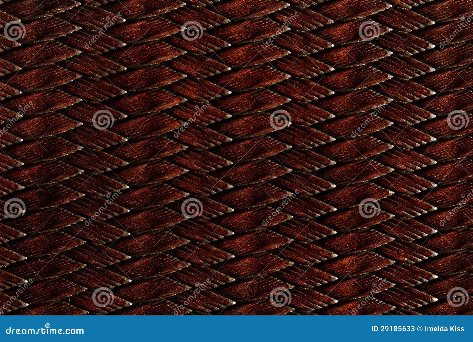 Dark Brown Snakeskin Texture Stock Image - Image of modern, natural ...