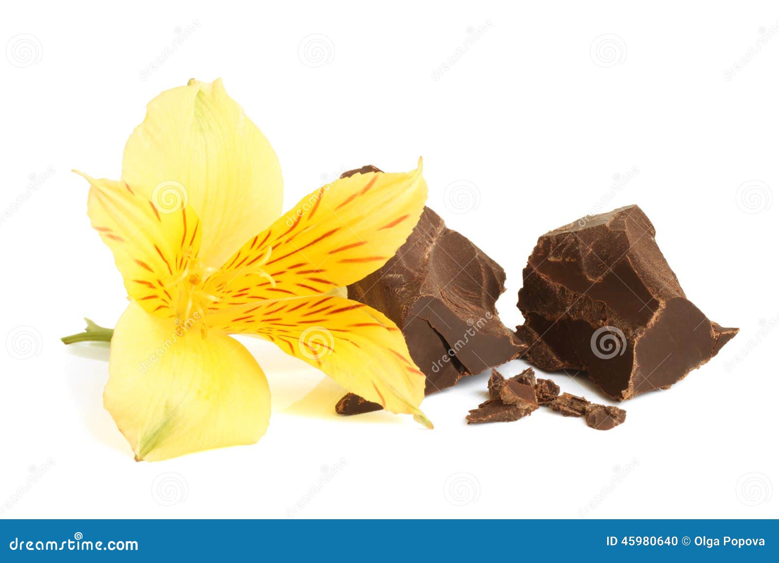 Dark Chocolate Flower Alstroemeria Stock Photos Free & RoyaltyFree