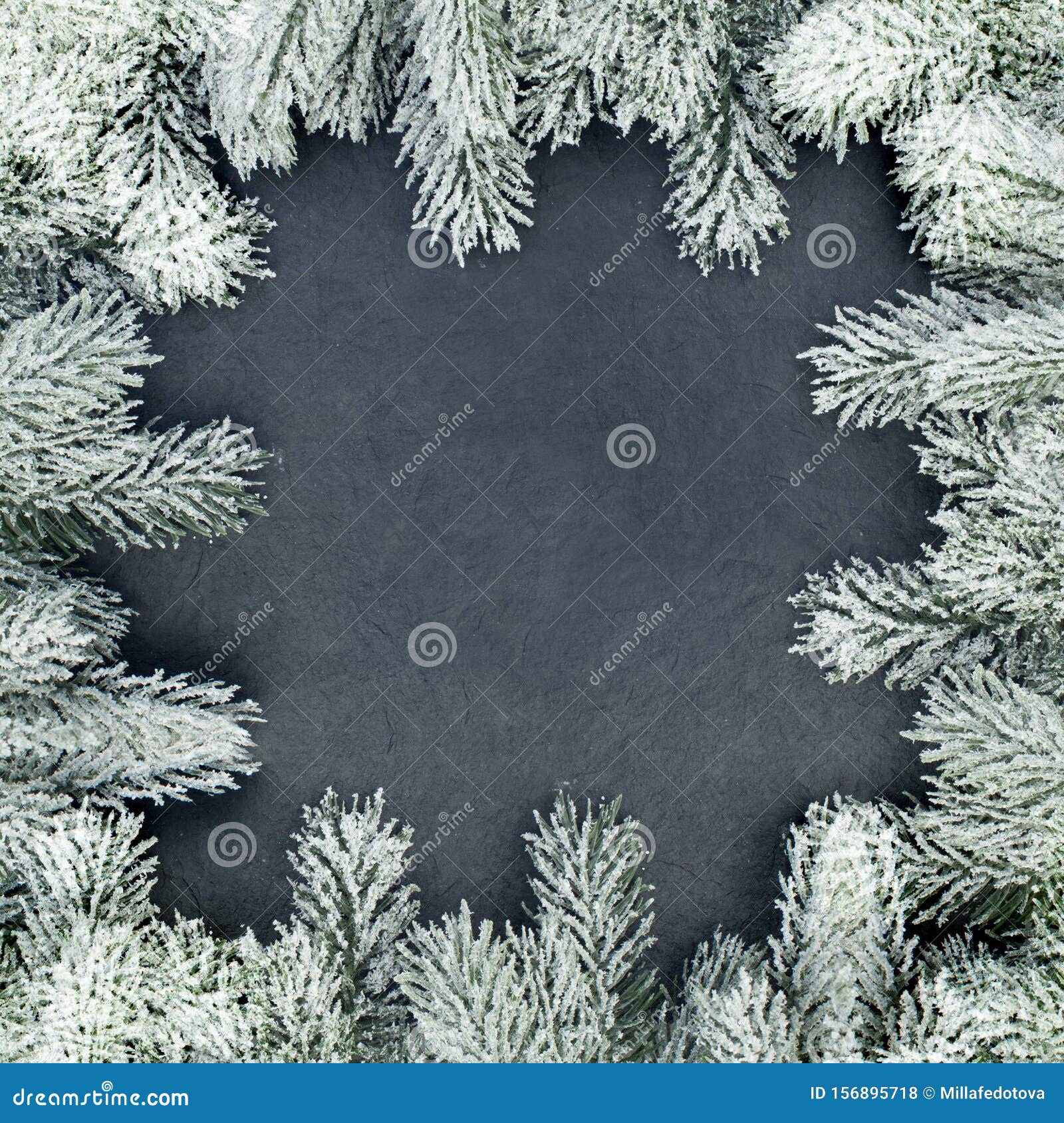 dark christmas card with christmas tree twig on black background. elegant christmas composition flat lay, top view