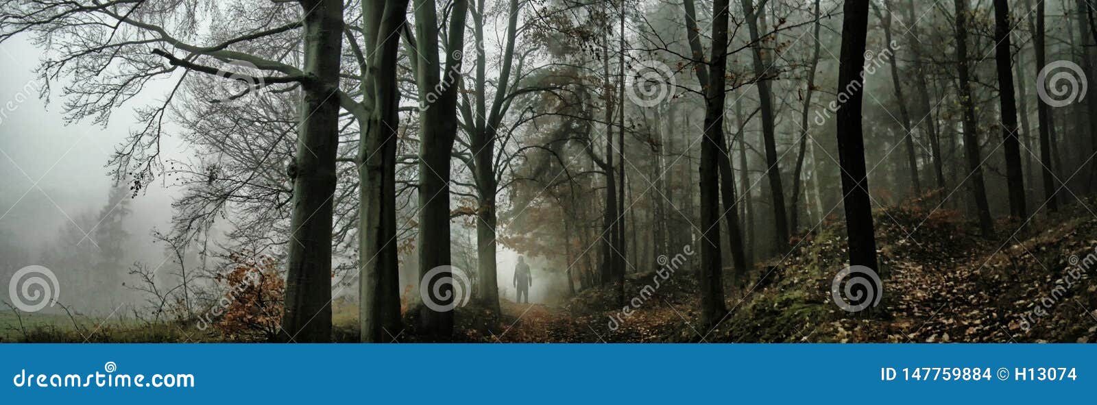 dark creepy foggy forest