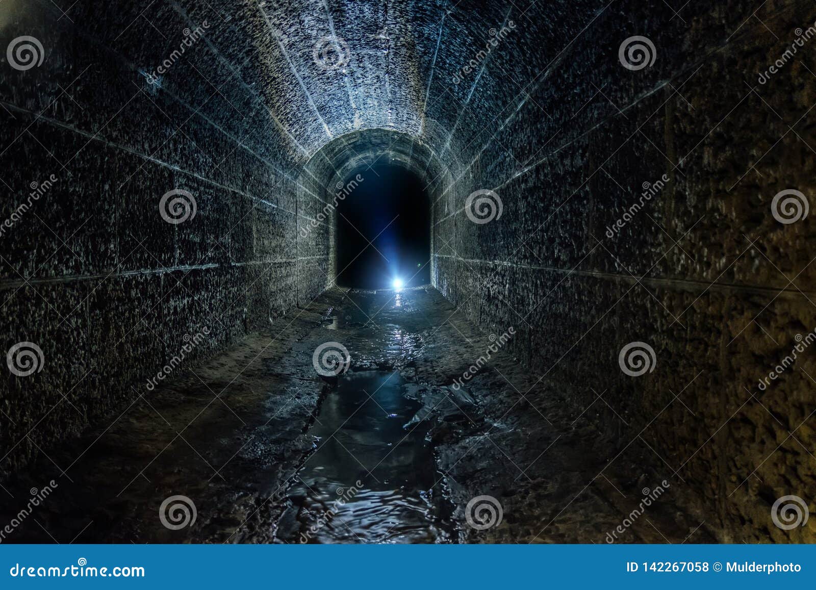 dark and creepy old historical vaulted flooded underground drainage tunnel