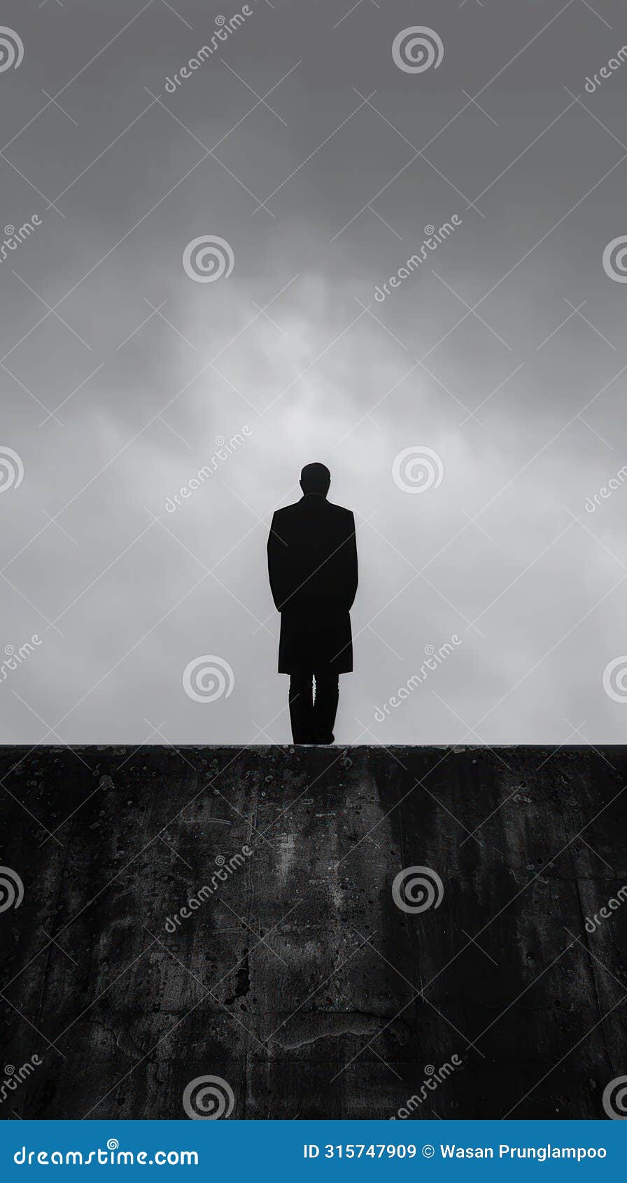 a dark figure stands on a wall, looking out over a bleak landscape