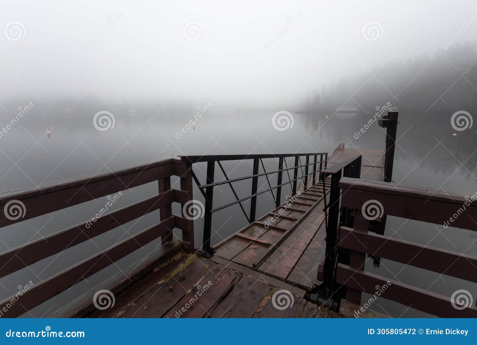 dark foggy and misty morning at shawnigan lake brish columbia