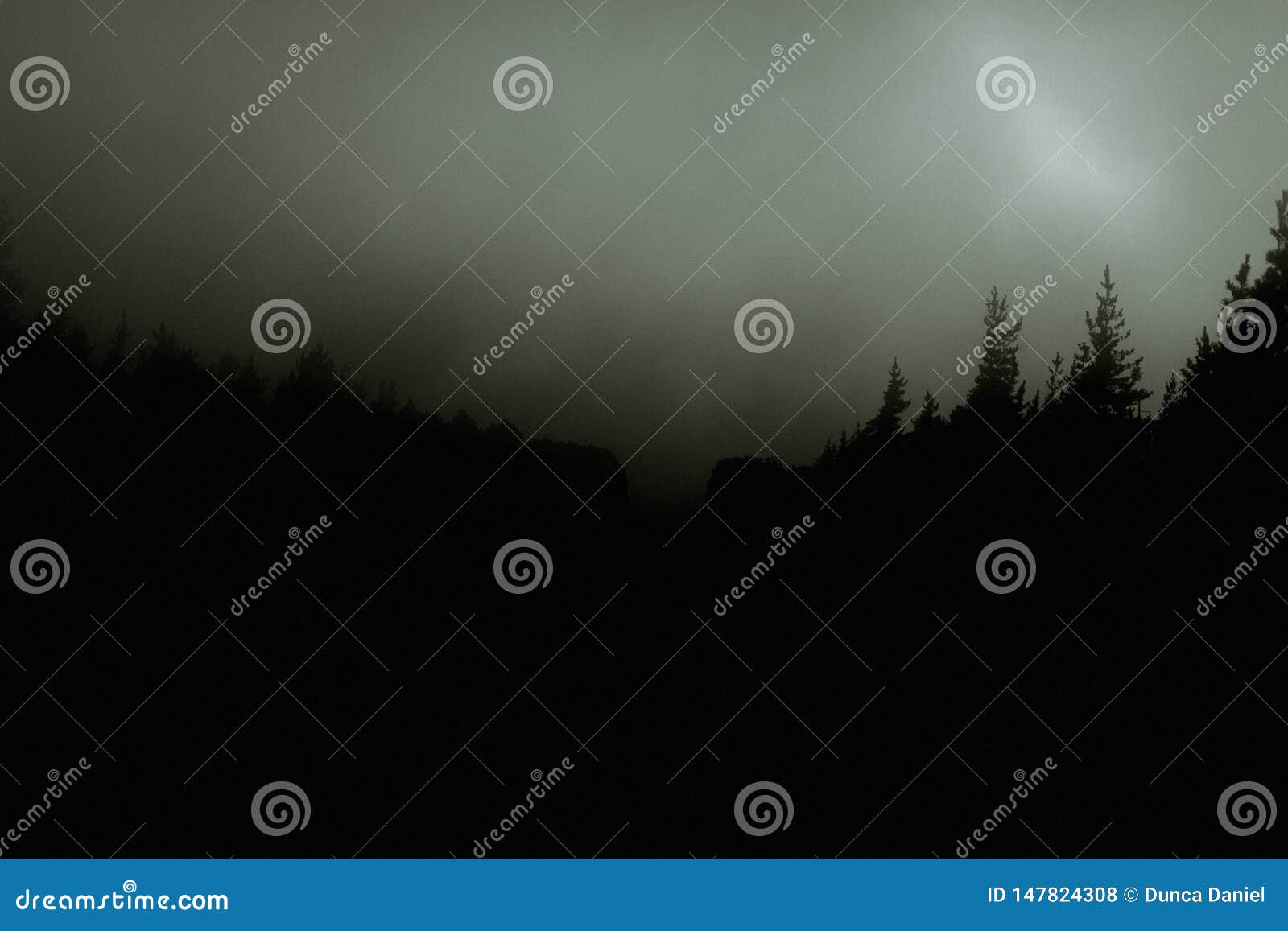 dark forrest landscape background with fog and misty woods