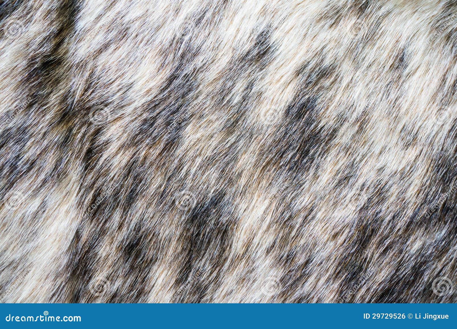 fur texture mink fur alpha