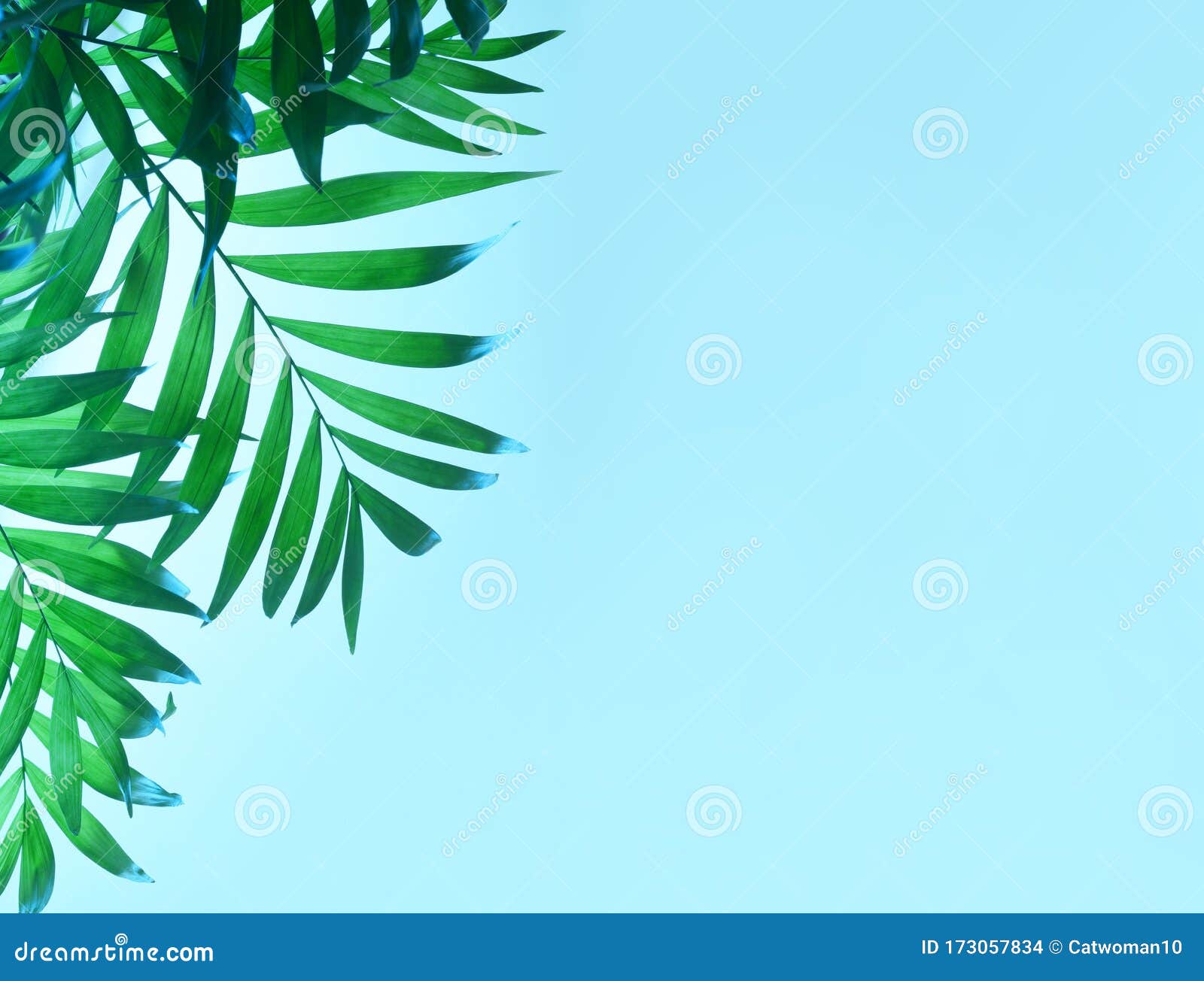 207,029 Dark Blue Green Background Stock Photos - Free & Royalty-Free Stock  Photos from Dreamstime